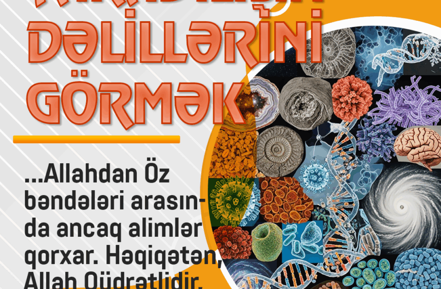 Yaradılışın dəlillərini görmək
