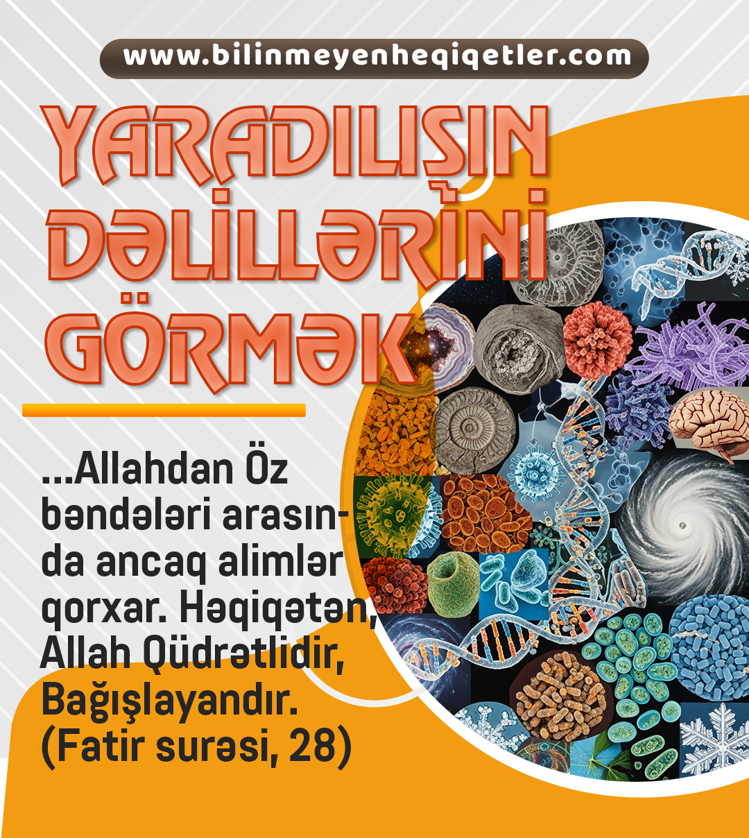 Yaradılışın dəlillərini görmək