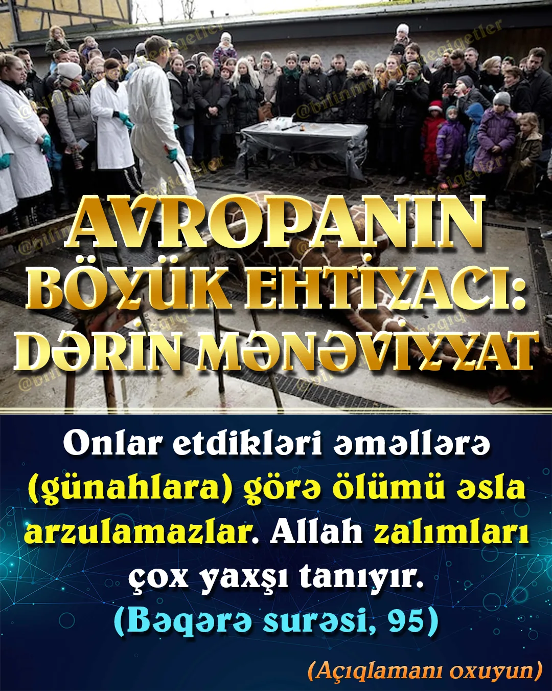 2014-Cü ildə Danimarkada bir zürafə zooparkda yer olmadığına görə insanların gözləri