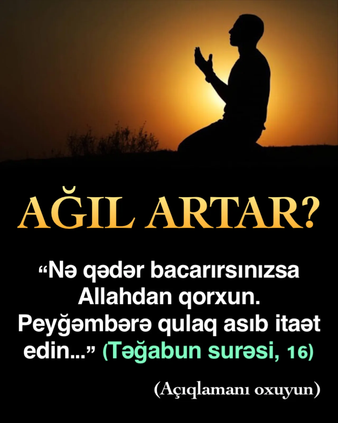 Ağıl ilə zəkanın çox əhəmiyyətli bir fərqi daha vardır