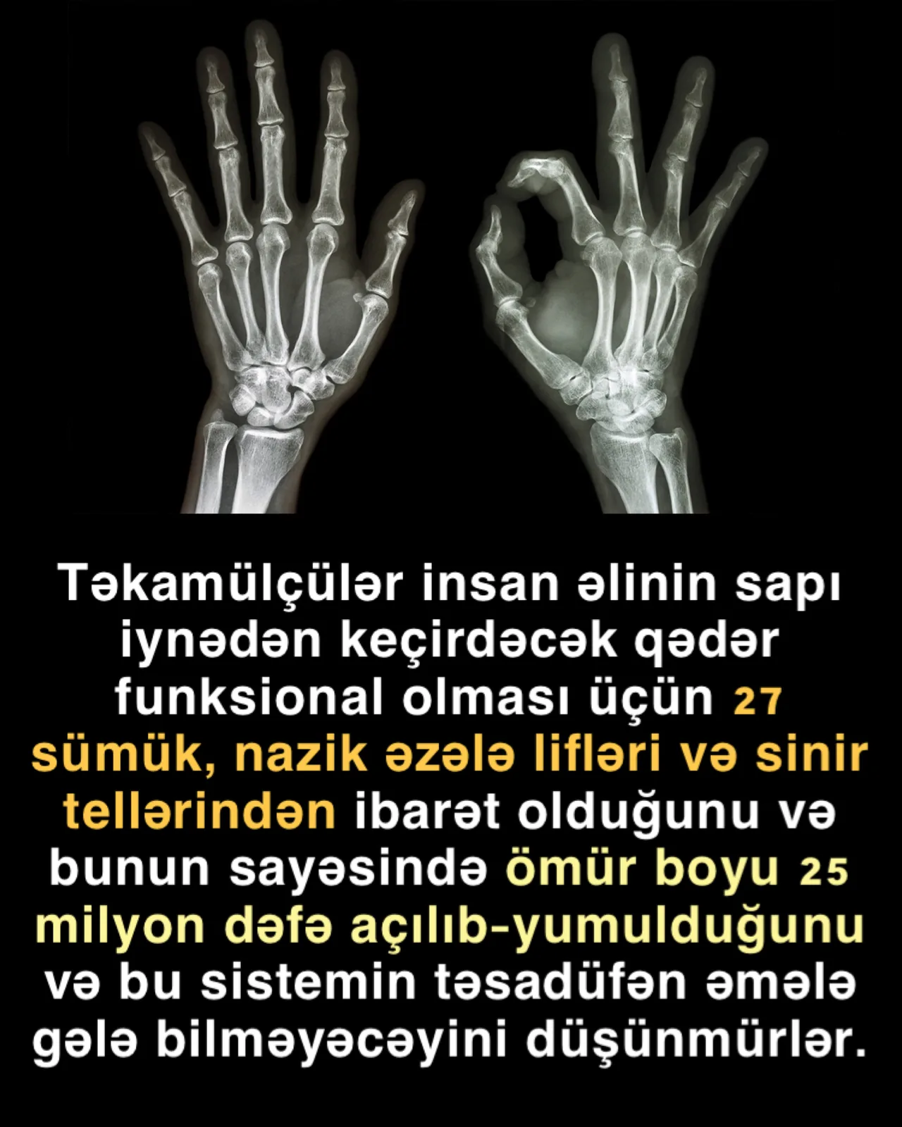 Ağıl sahibi elm adamı yaradılışı görür