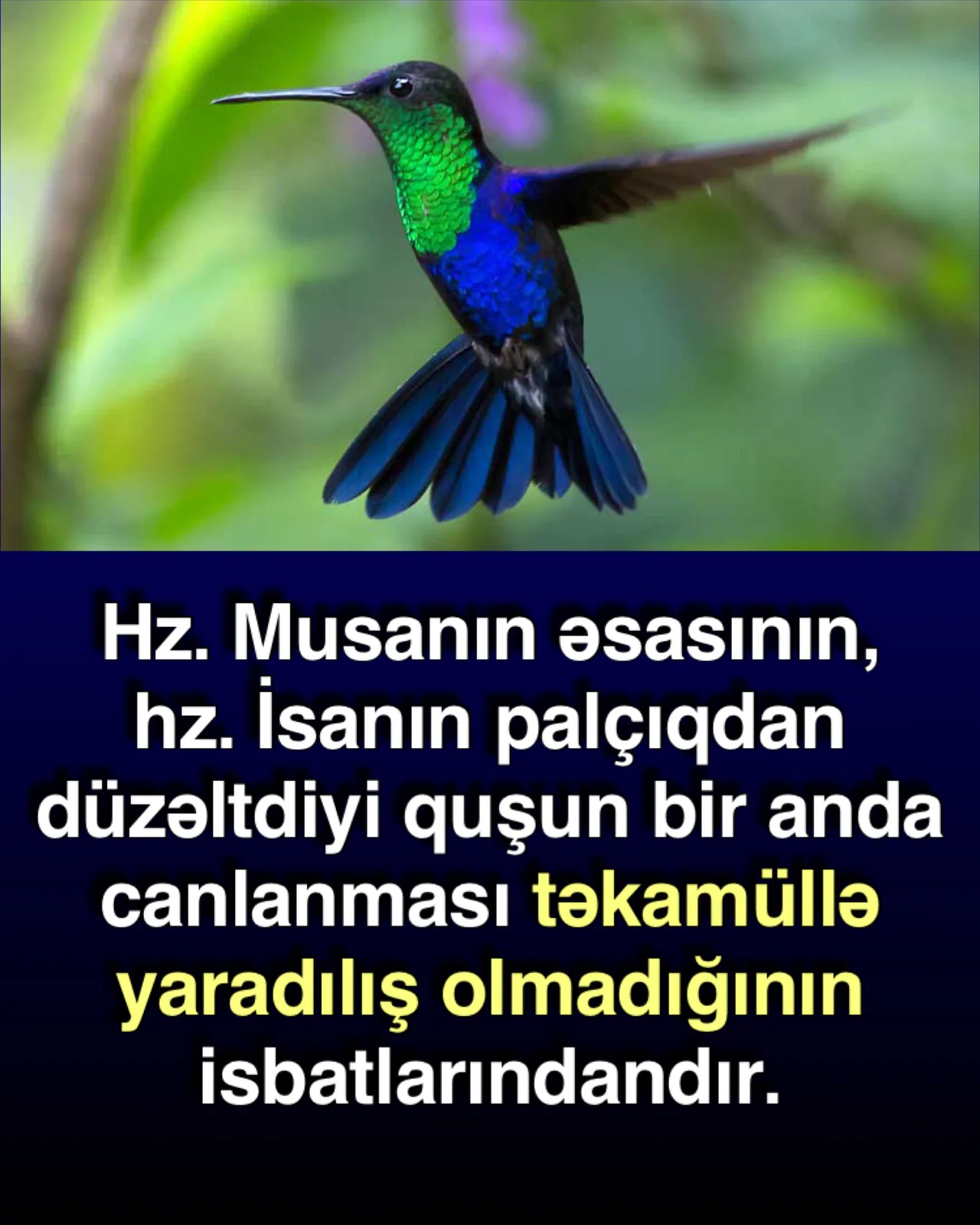 Ol əmri və dərhal yaranış