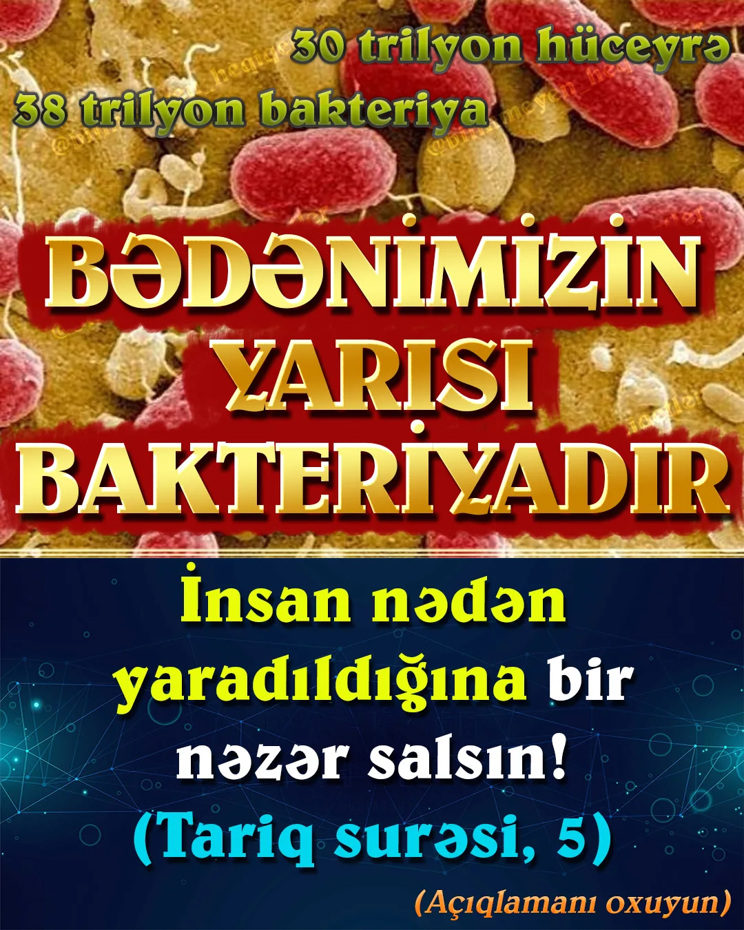 Bədəndəki bakteriyaların sayı