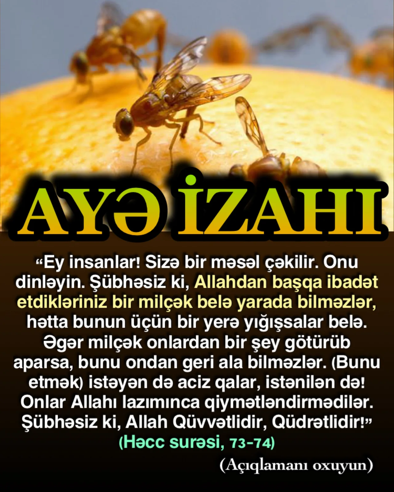 Allah ayədə kiçik bir milçəyin belə iman həqiqəti olduğunu misal çəkərək bu həqiqətlərdən