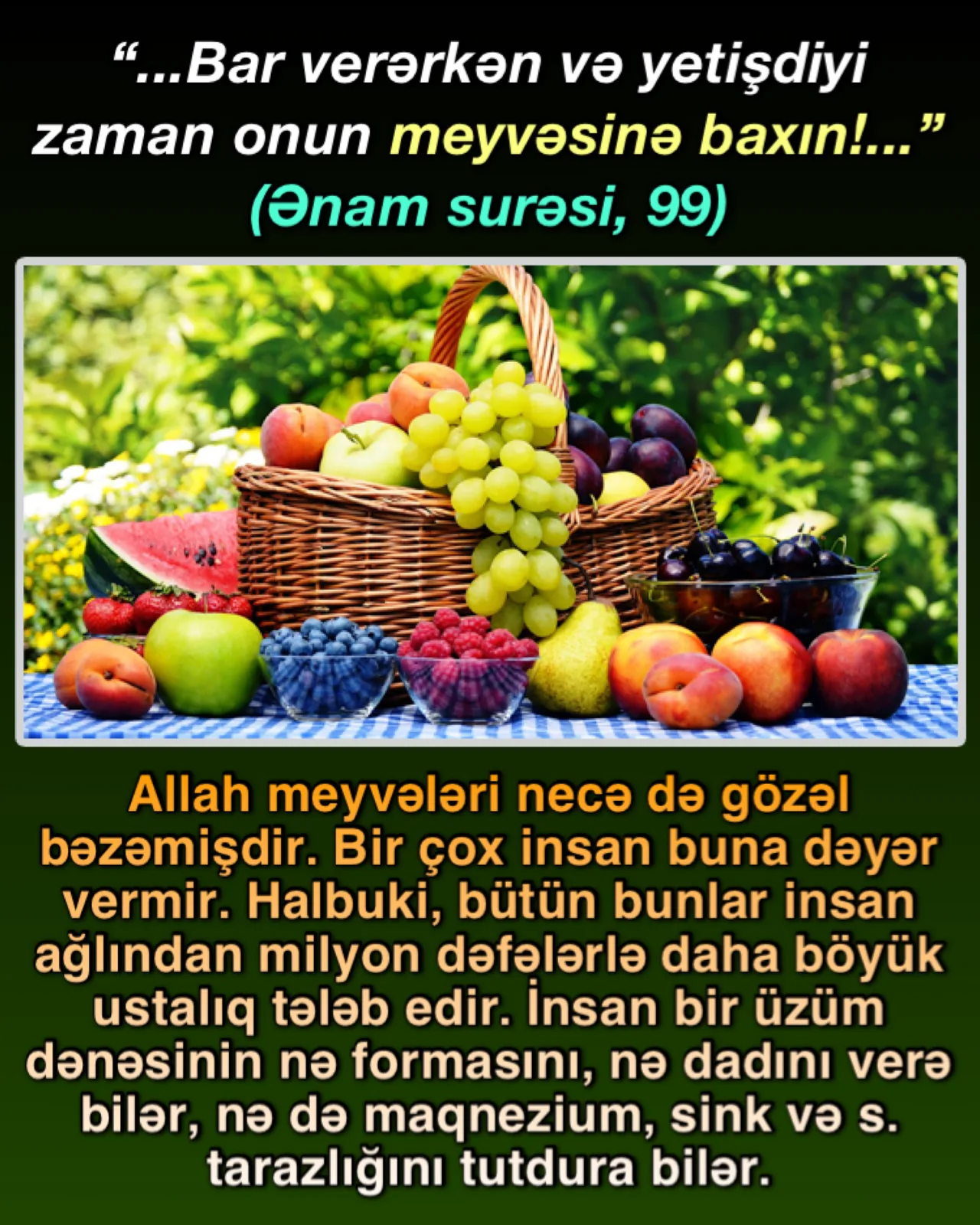 Allah bütün canlıların ruzisini verir