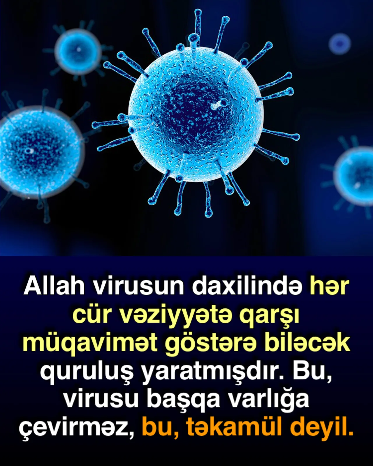 Mikrobun möcüzəvi quruluşu