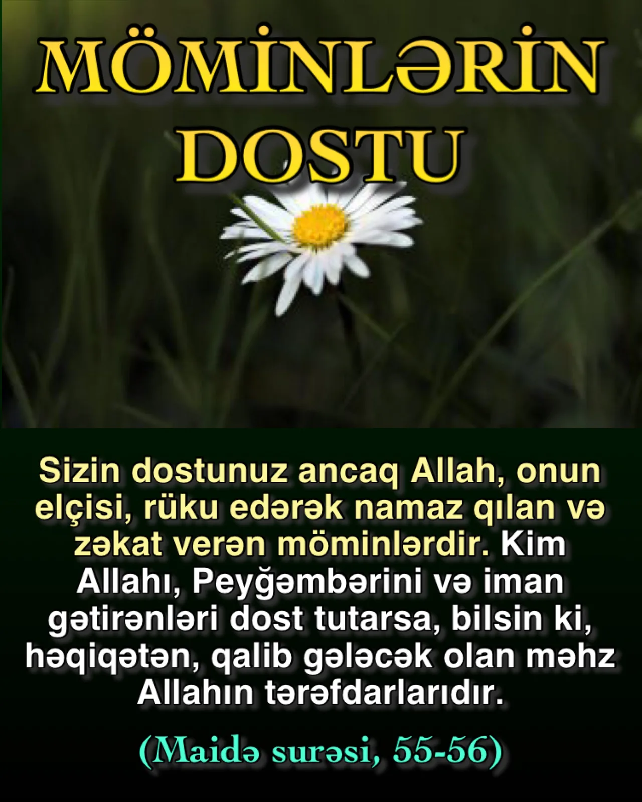 Allah möminlərin dostu və qoruyucusudur