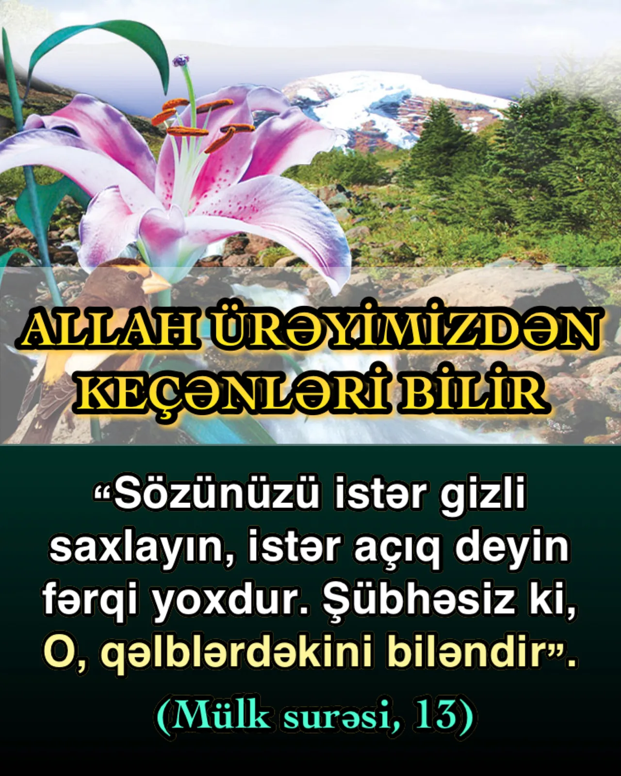 Allah qəlbdəkiləri bilir