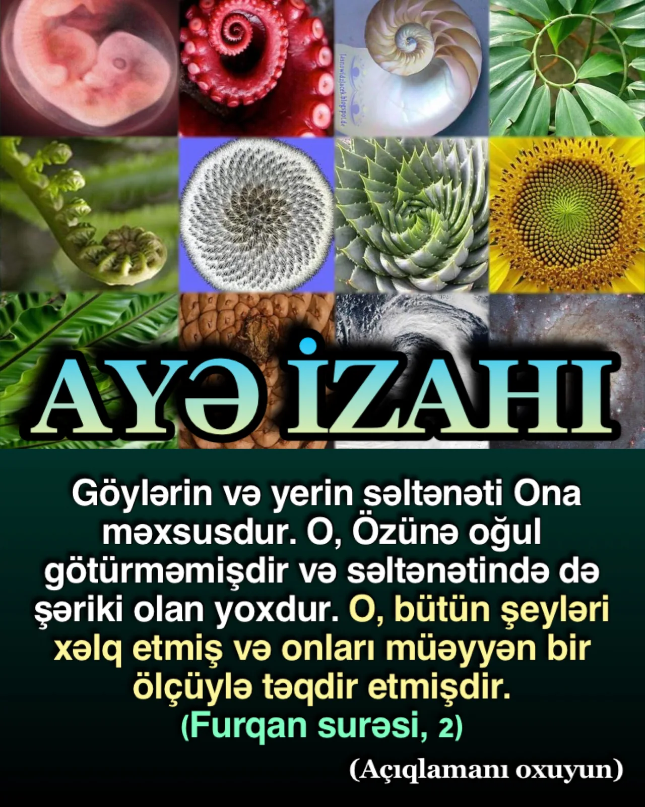 Allah qızıl nisbətlə təqdir etmişdir