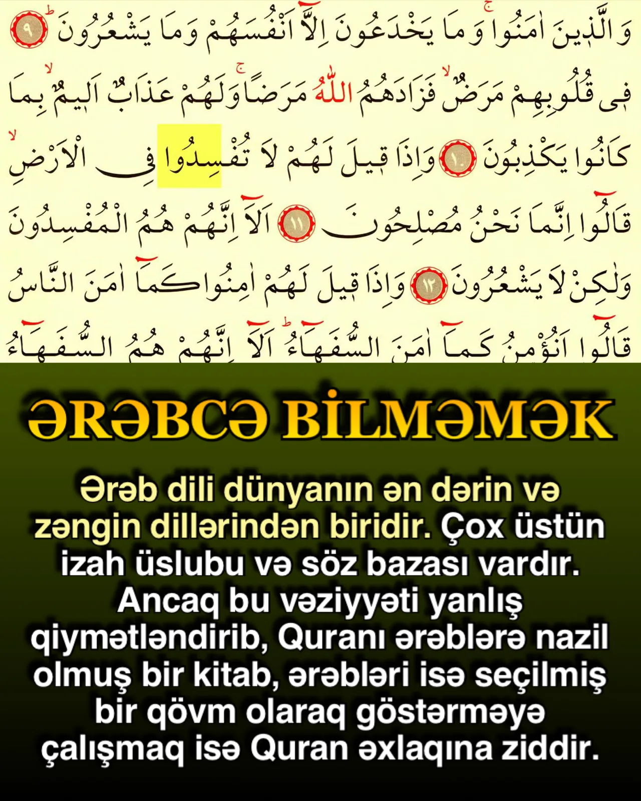 Allah, Quranı ərəbcə kitab olaraq endirdiyini bildirir