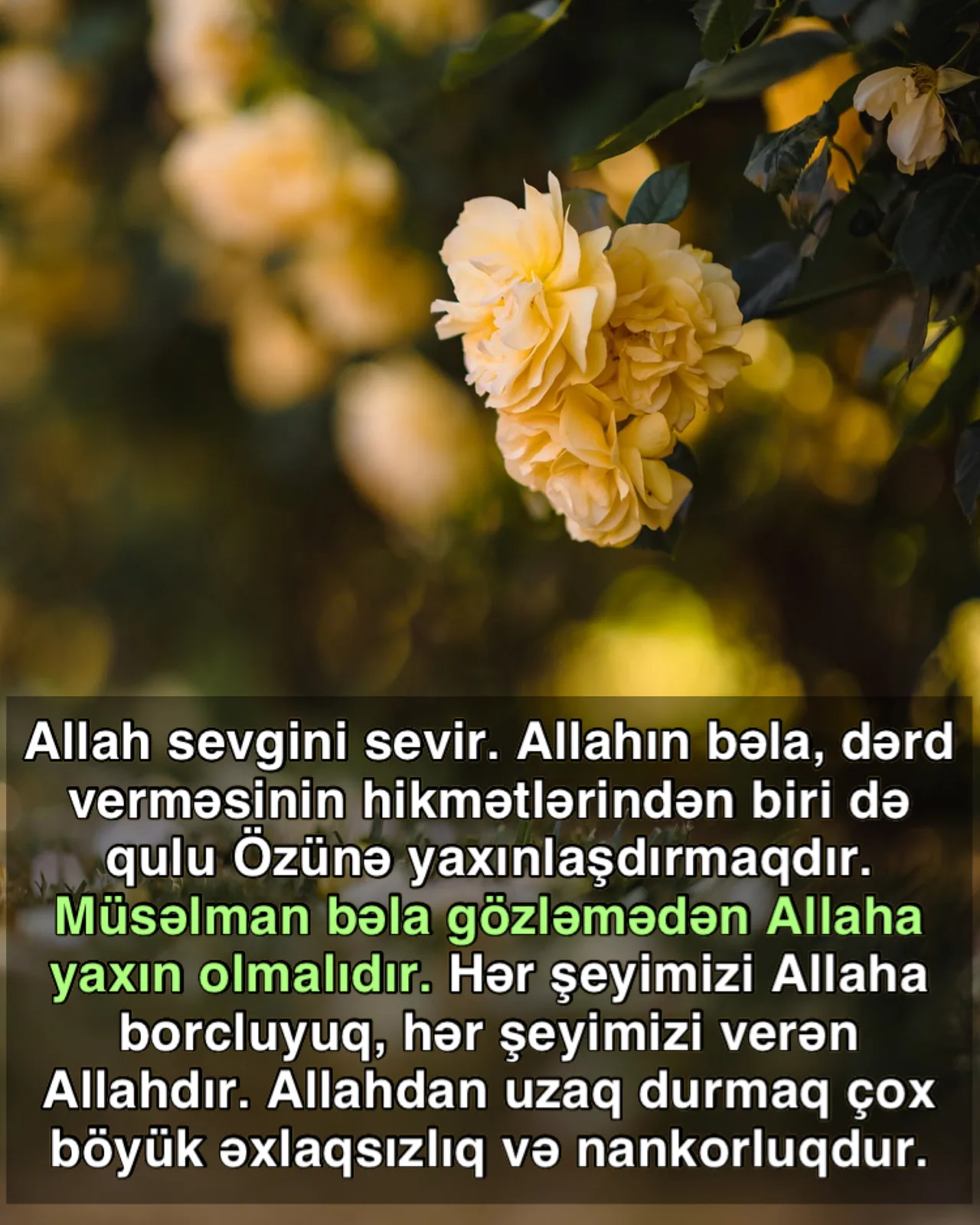 Allahı tanımağın sərhəddi yoxdur
