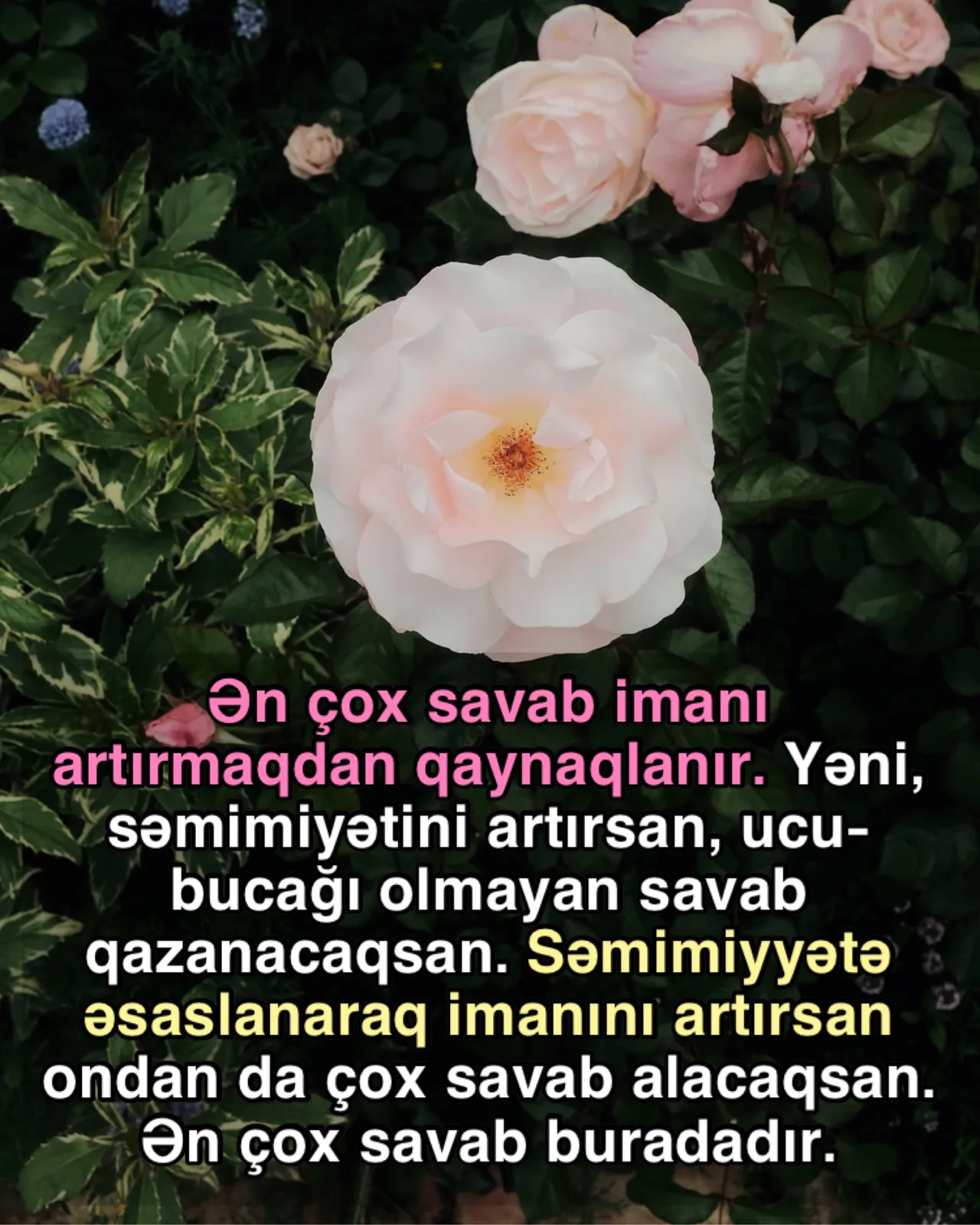 Allahın rizası üçün işləmək sevinc mənbəyidir