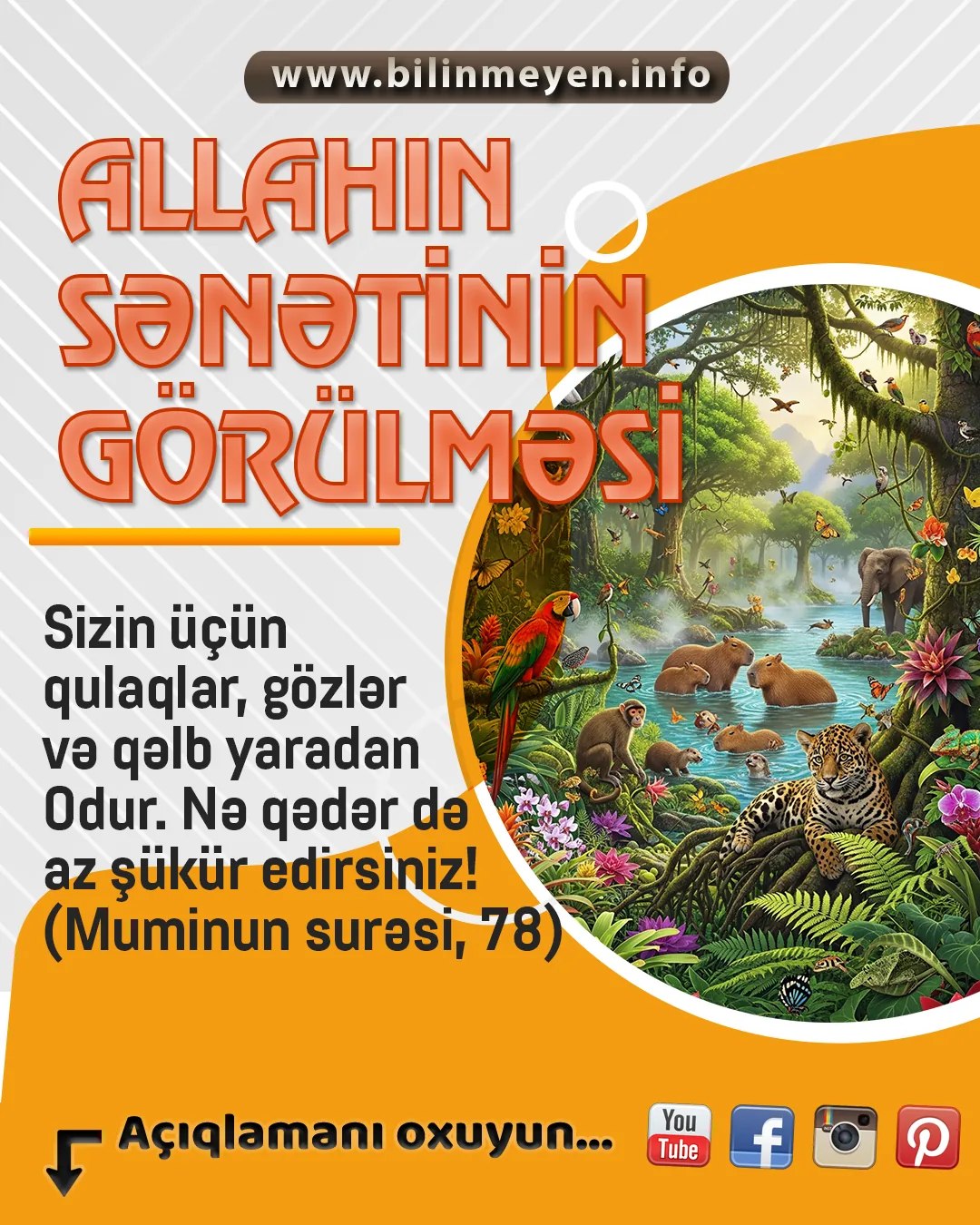 Allahın sənətinin görülməsi