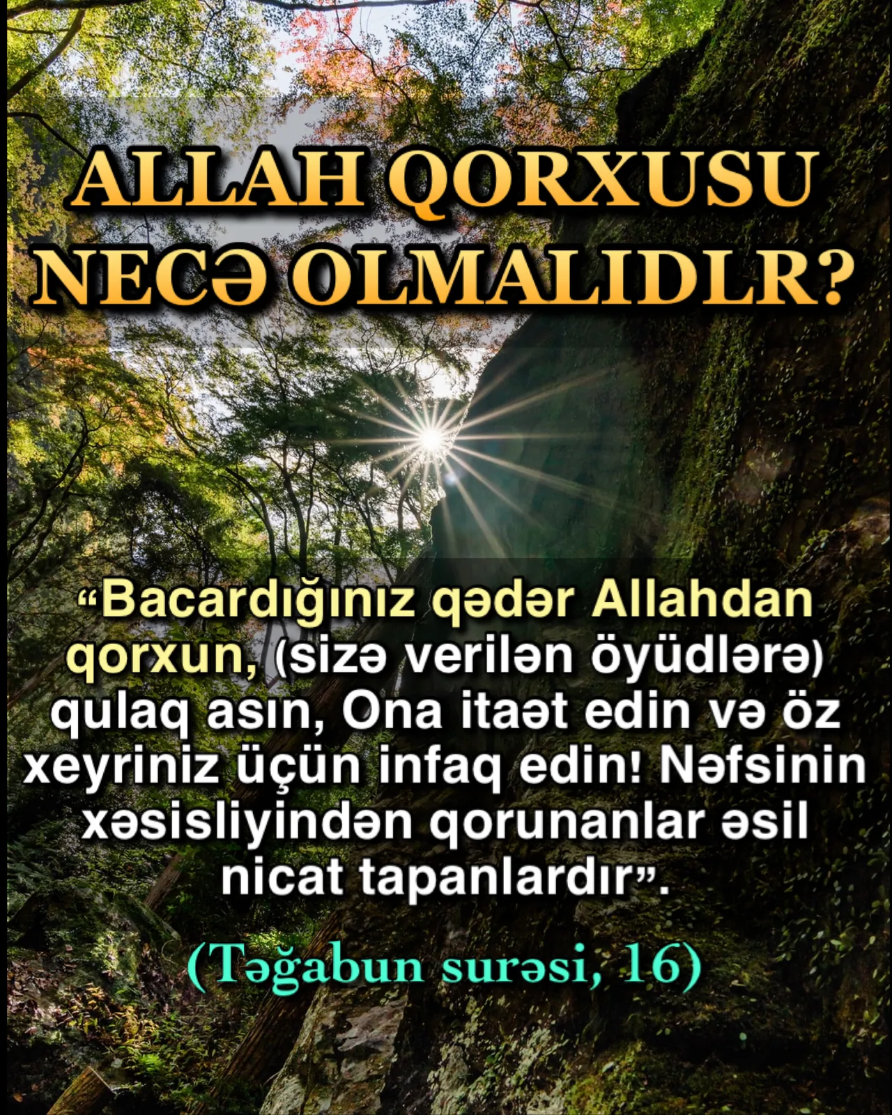 Allahın varlığını bilən, Onu üstün sifətləriylə tanıyan hər insan Allahdan şiddətlə qorxar