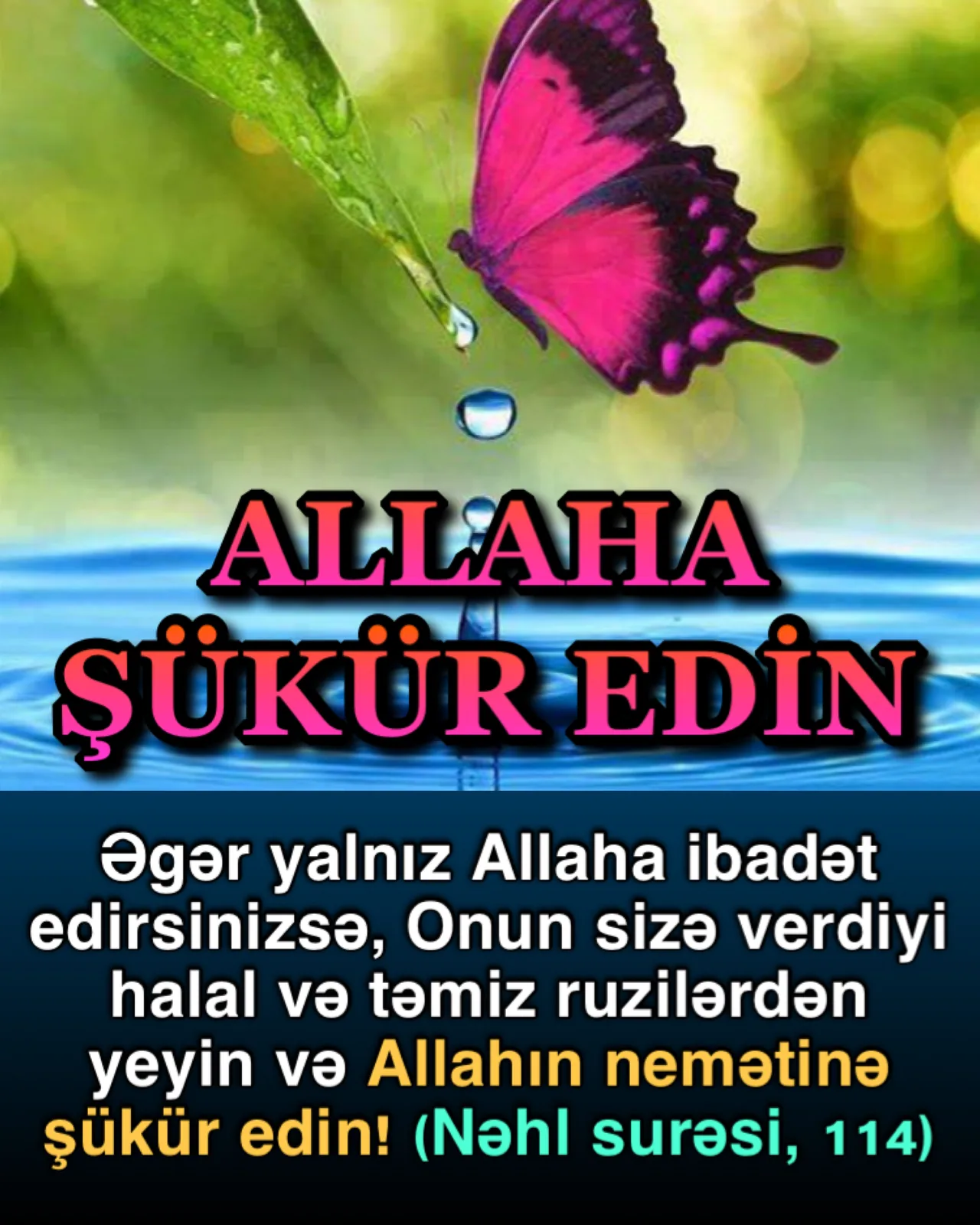 Allahın verdiyi bütün nemətlərə şükür etmək əhəmiyyətli bir ibadətdir