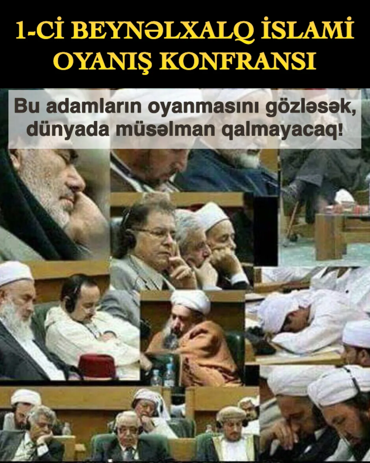 Alov böcəyinin soyuq işığı