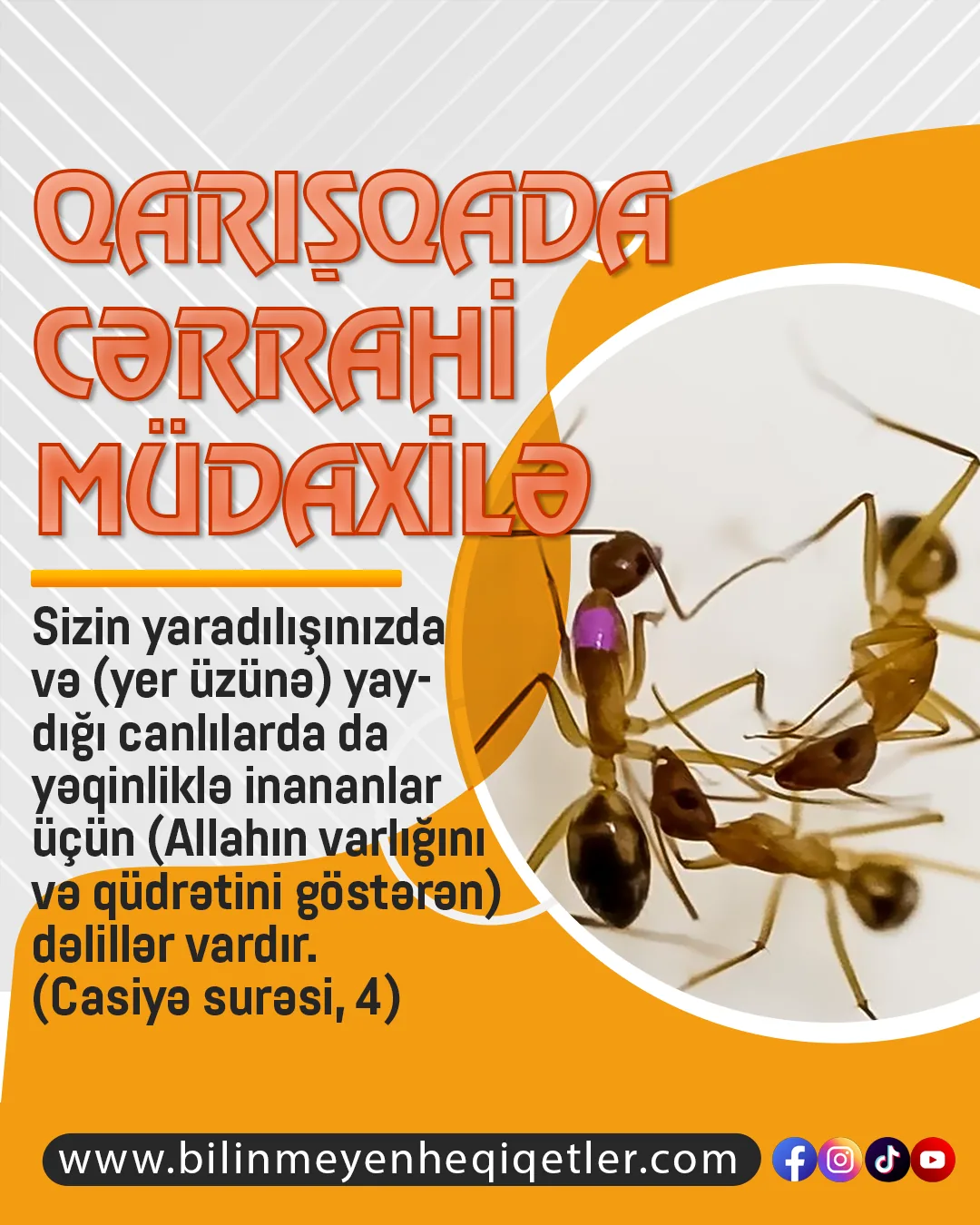 → Amputasiya, sağalması mümkün olmayan orqanın kəsilməsi prosesidir