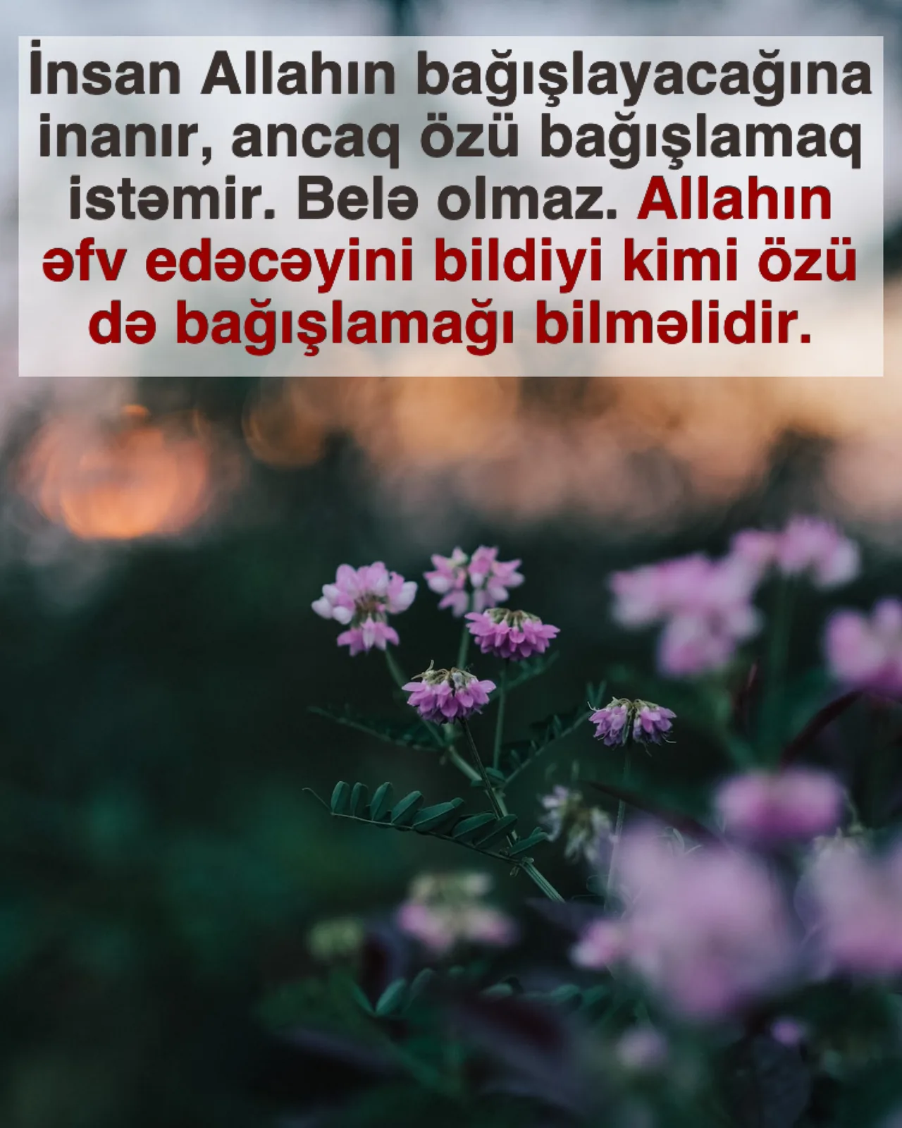 Bağışlamağı bacarmamaq böyük itkidir