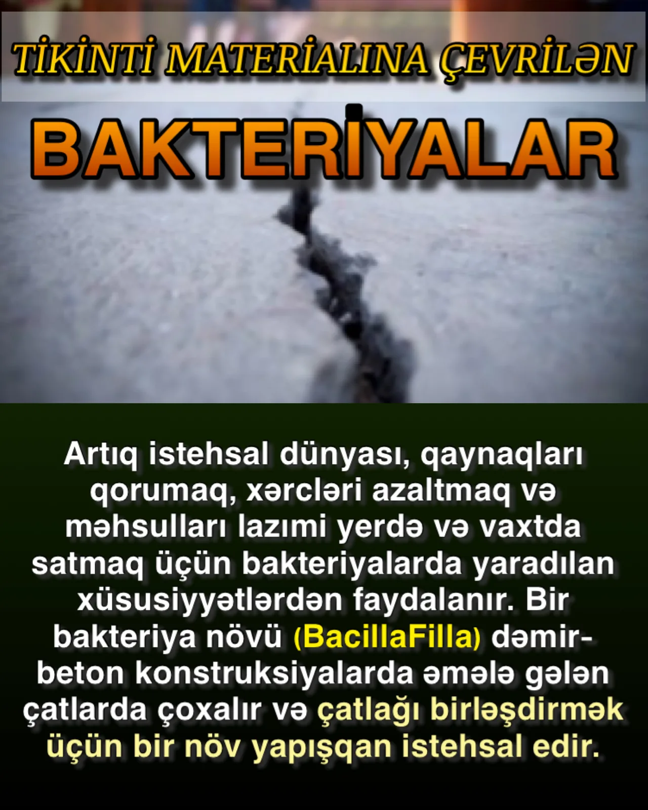 Bakteriyaların faydalı dünyası