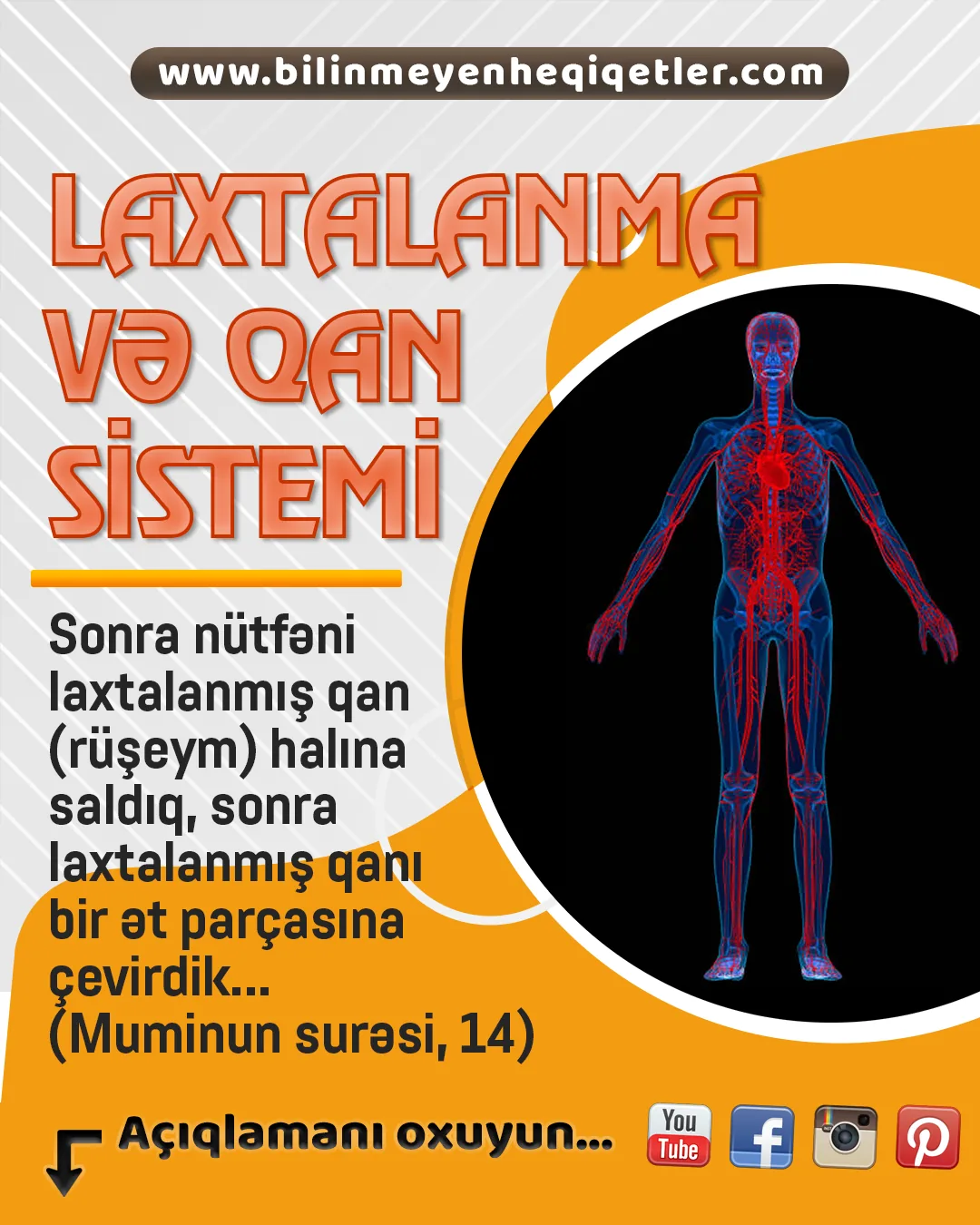 Laxtalanma və qan sistemi
