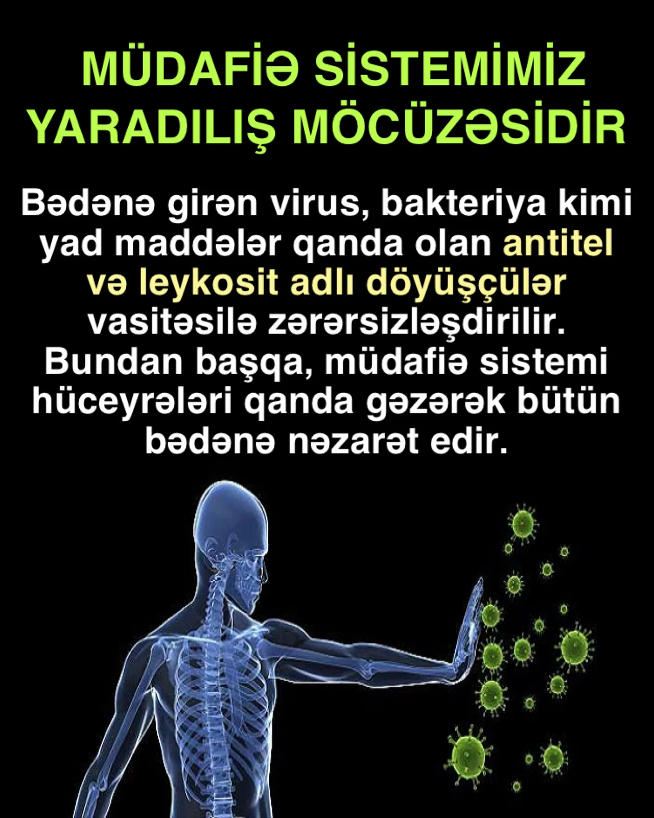 Bədənin müdafiə sistemi: mükəmməl ordu