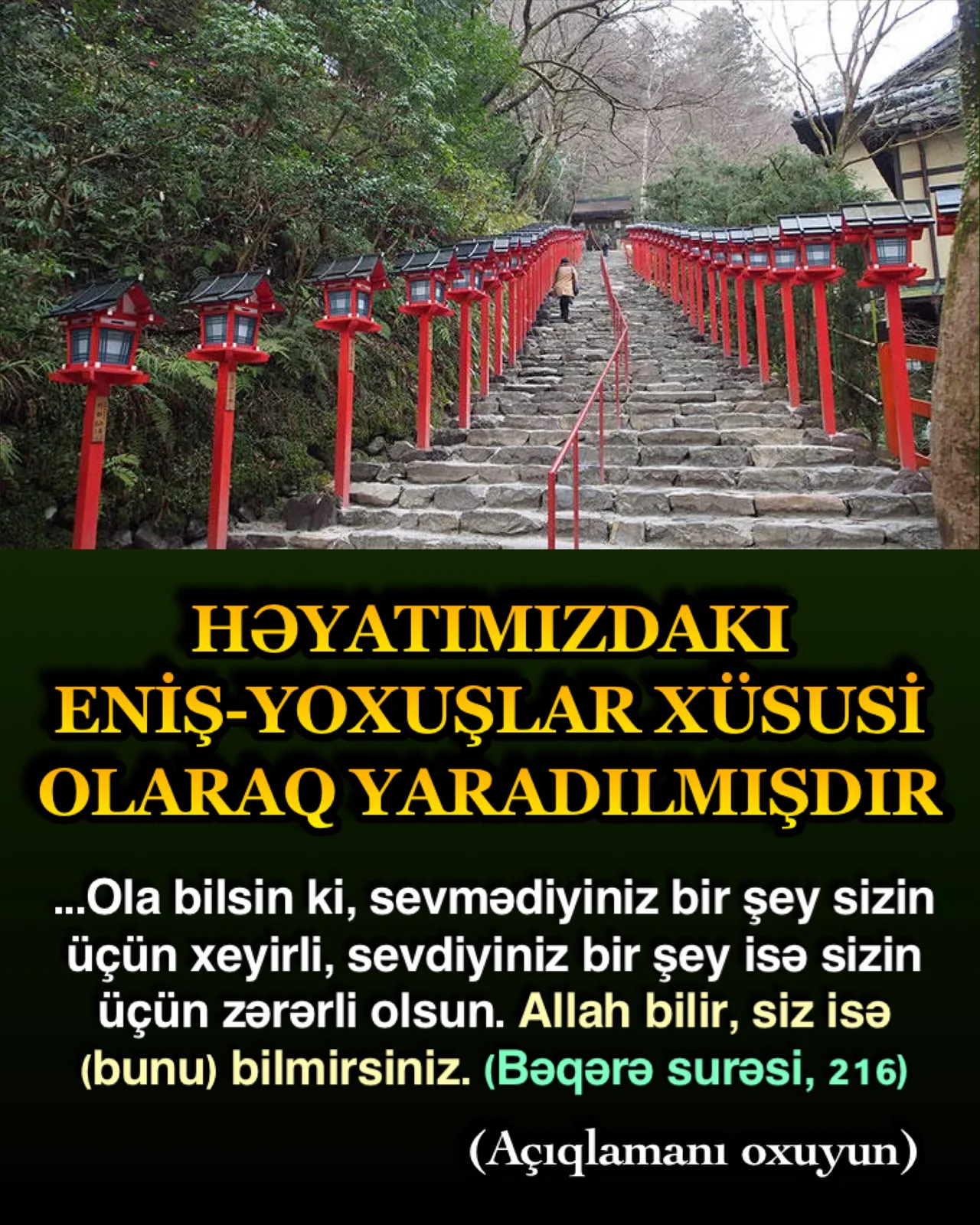 Bəzi insanlar çox sakit və nizamlı şəkildə yaşamaq istəyirlər