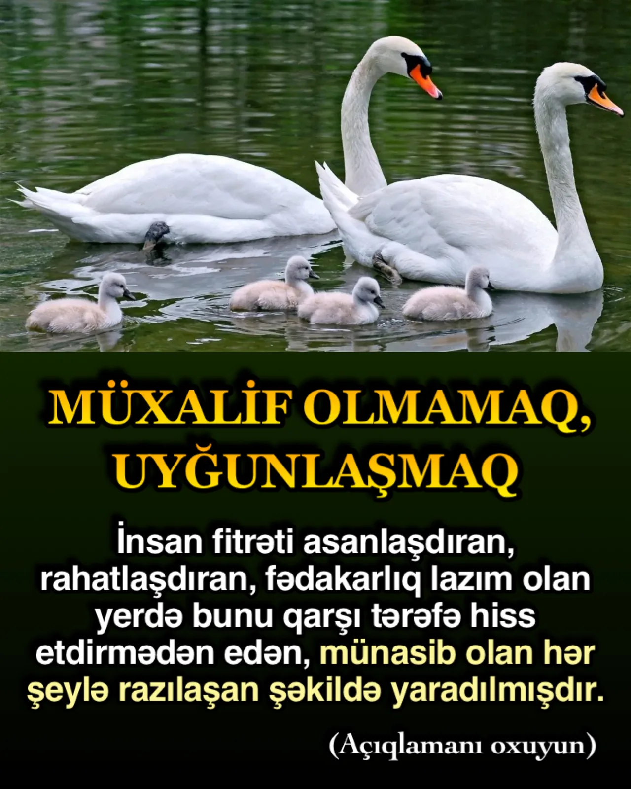 Bəzi insanlar digərləri ilə müqayisədə daha çox sevilir və daha çox üstünlük verilir