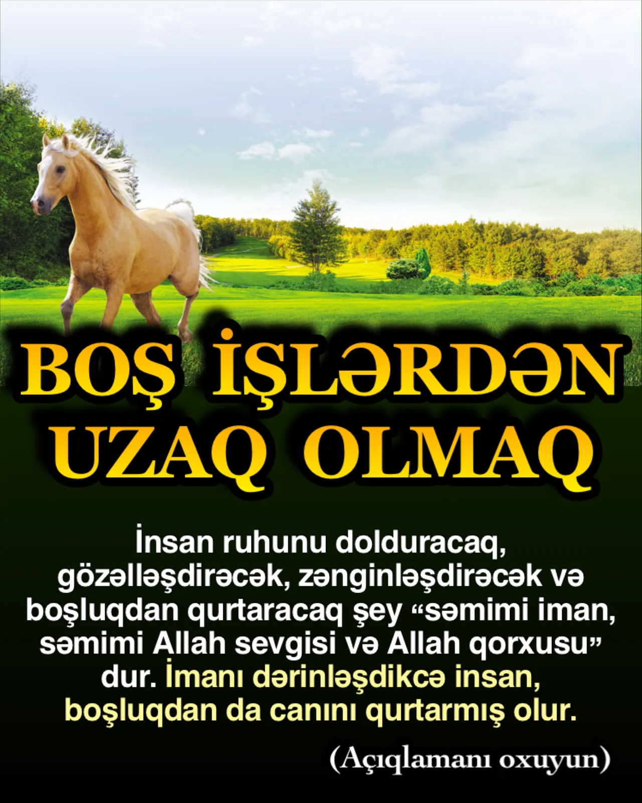 Bəzi insanlar var ki, hər sahədə çox gözəl xüsusiyyətlərə malikdirlər, ancaq bu