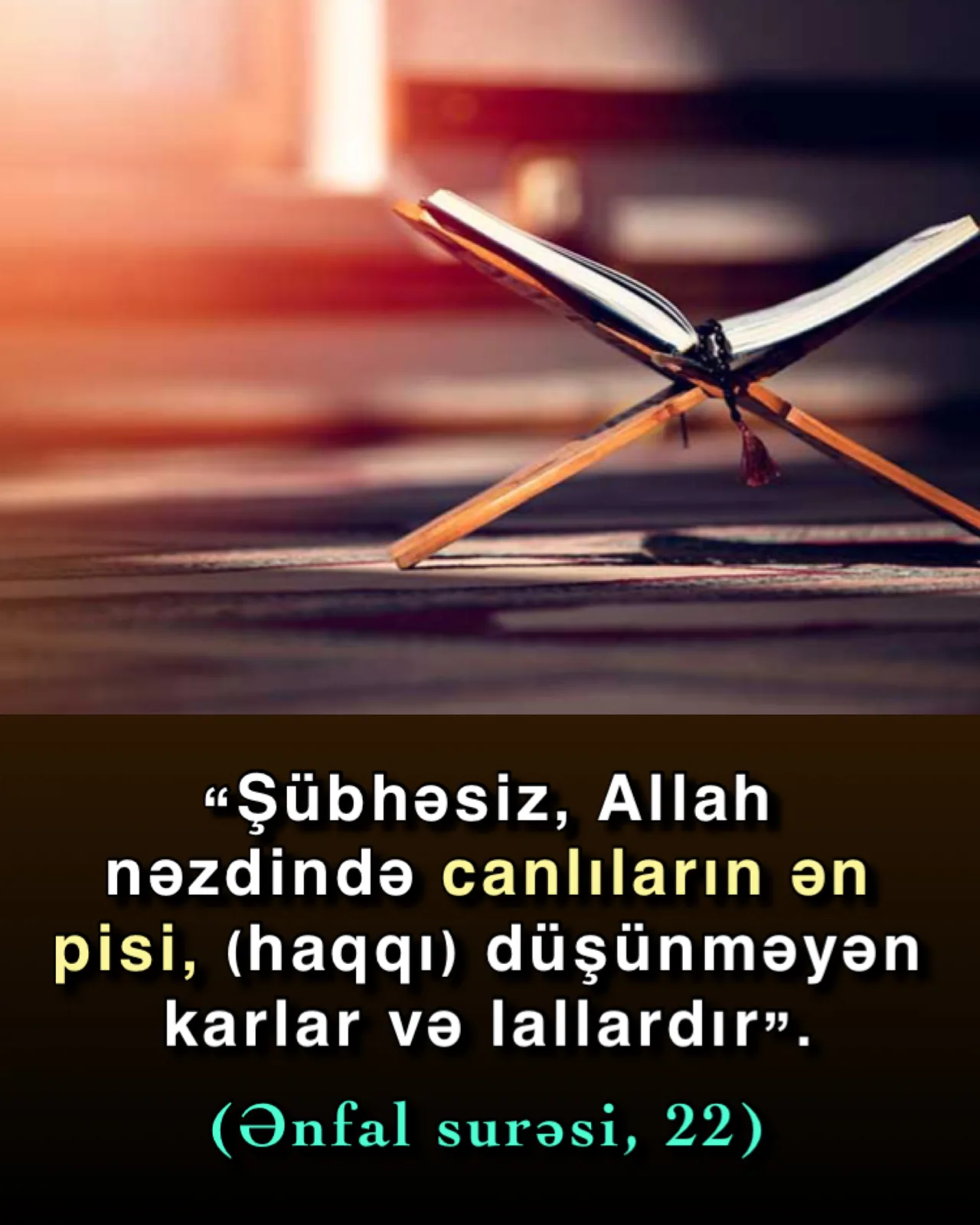 Bəzi insanların Quranı anlaya bilməməsi