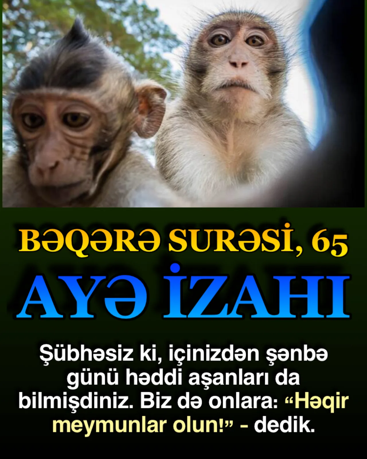 Bilindiyi kimi, şənbə günü qadağası (şabat) musəvilər üçün xüsusi qadağadır