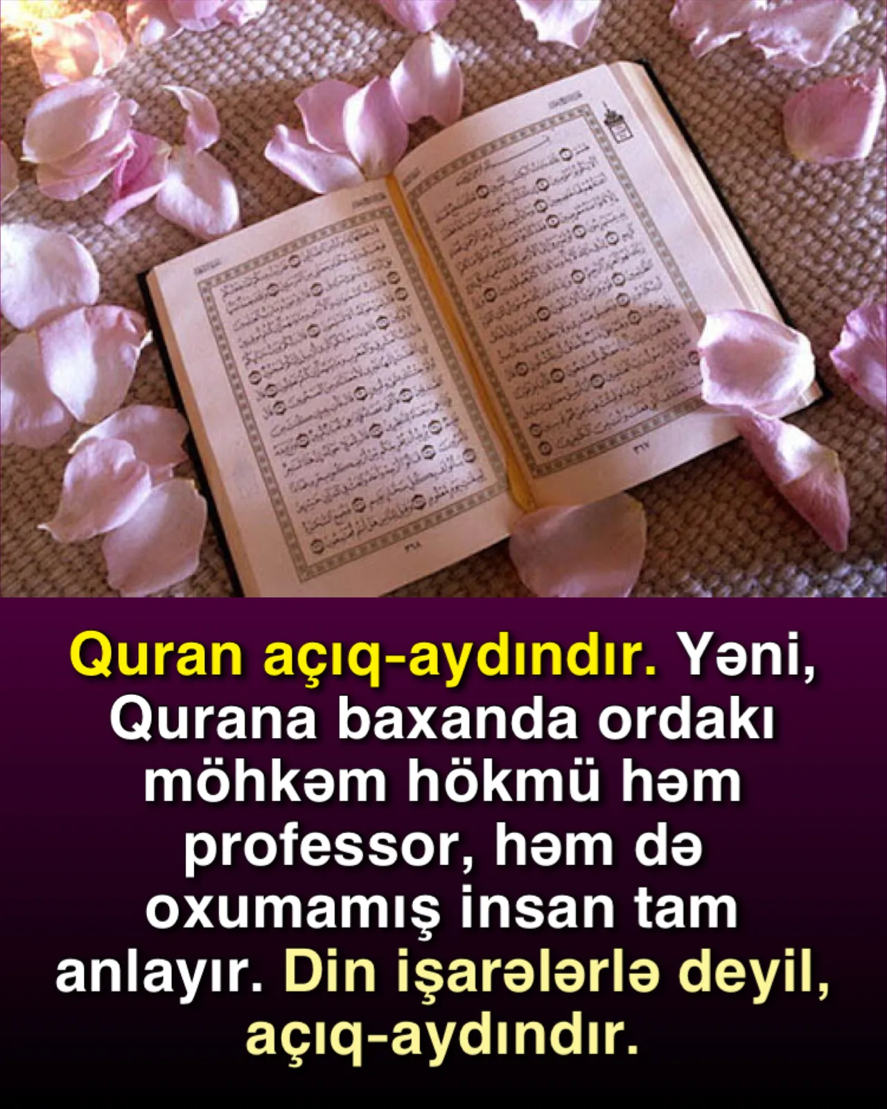 Vaxtında dəyərləndirilməyən imkanlar