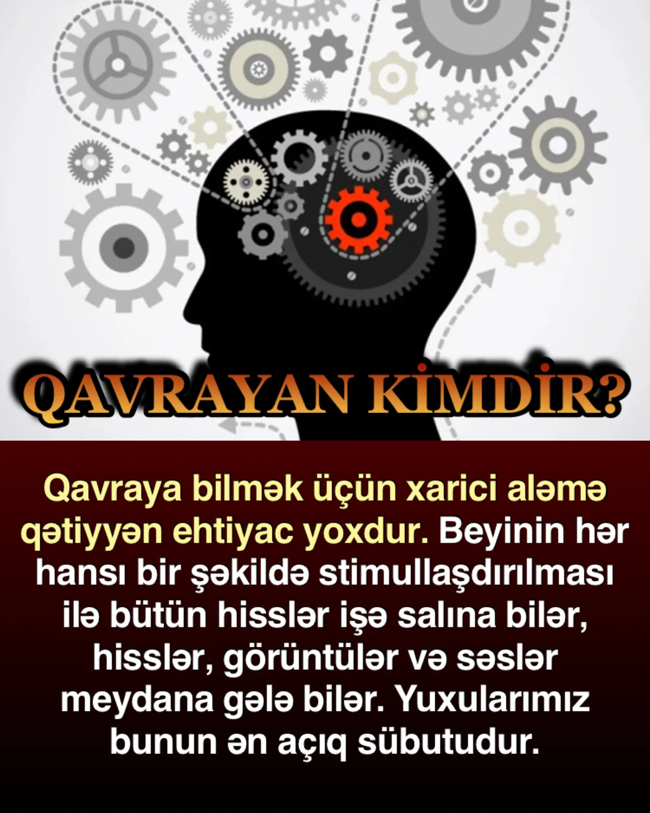 Bizə məlum olan bütün maddi varlıqların hər biri əslində hissdirsə, bəs beynimiz nədir?