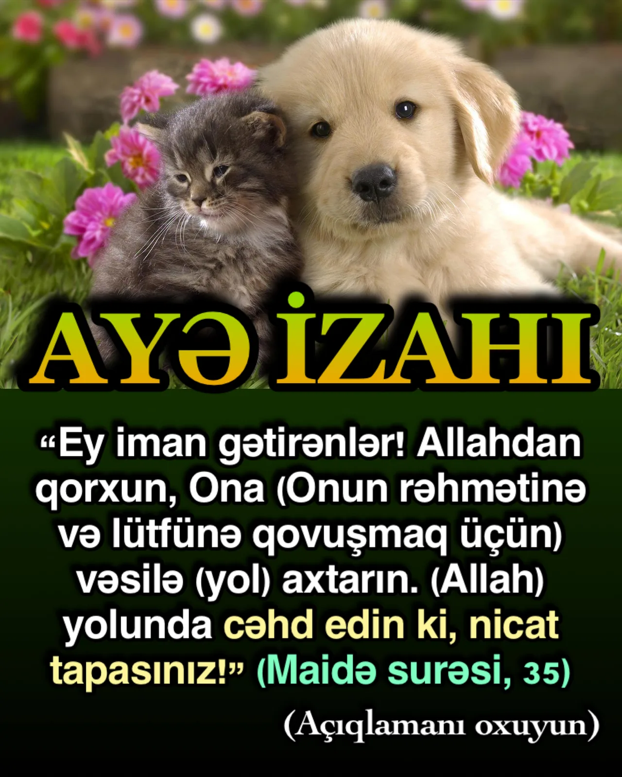Bu ayədə Allah möminlərə yalnız Ondan qorxmalarını bildirmişdir