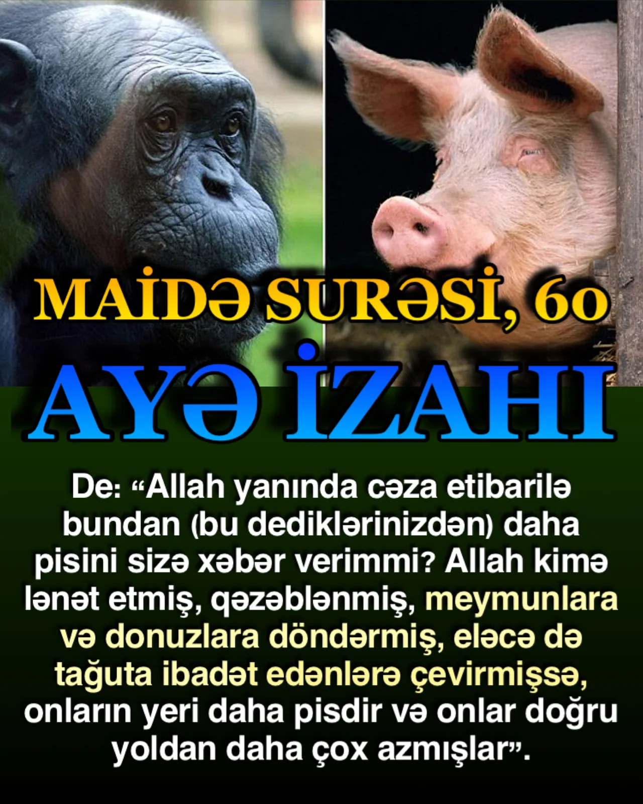 Bu ayələrdəki xitab kitab əhlinin arasından çıxan camaatadır