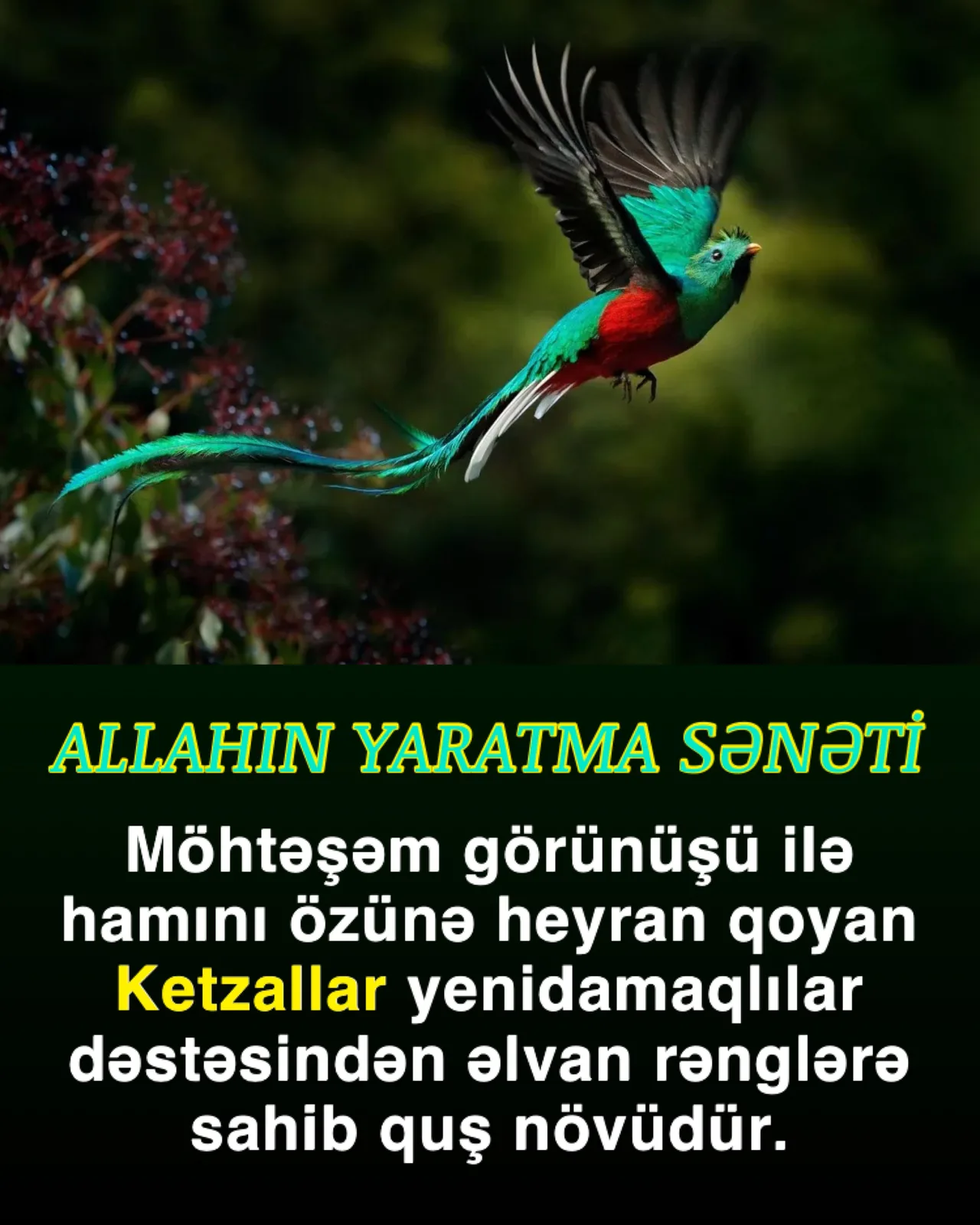 Bütün canlılara Allahın böyük sənəti hakimdir