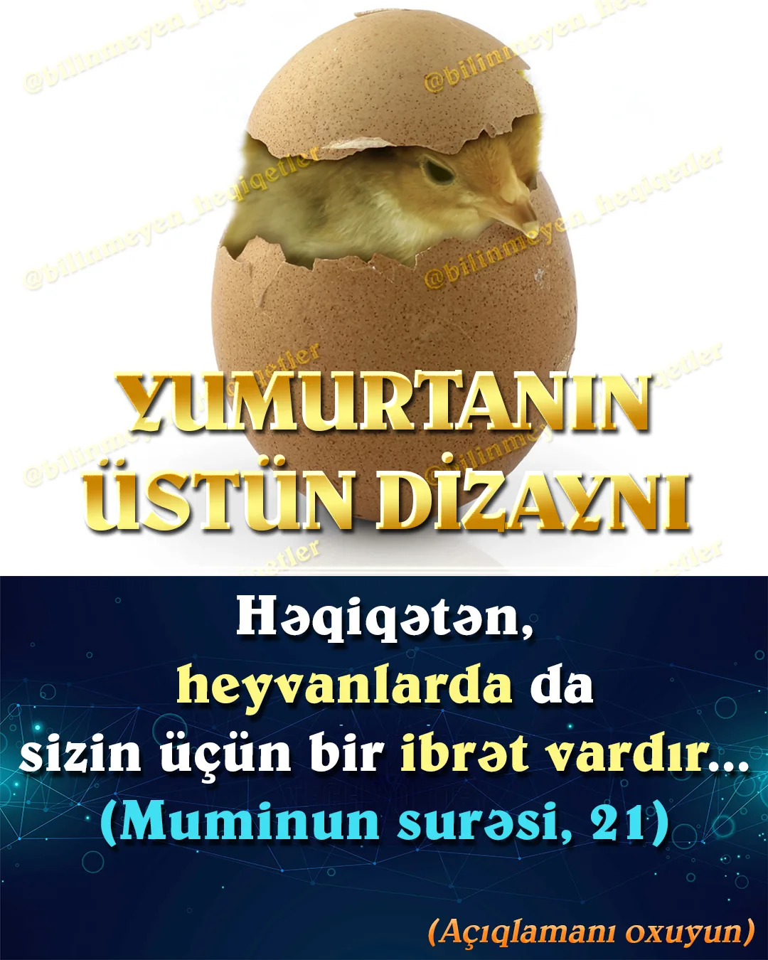 Bütün canlıları Allah yaratmışdır