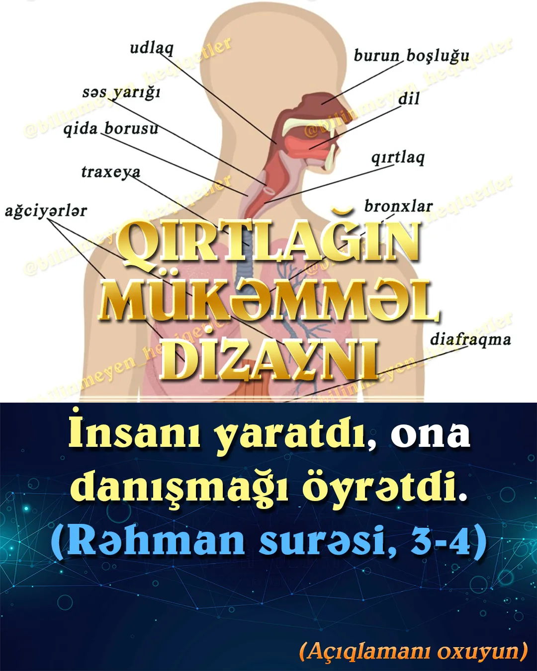 Bütün kainatda olduğu kimi, Uca Rəbbimizin insan bədənində də yaratdığı möcüzəvi sistemlər