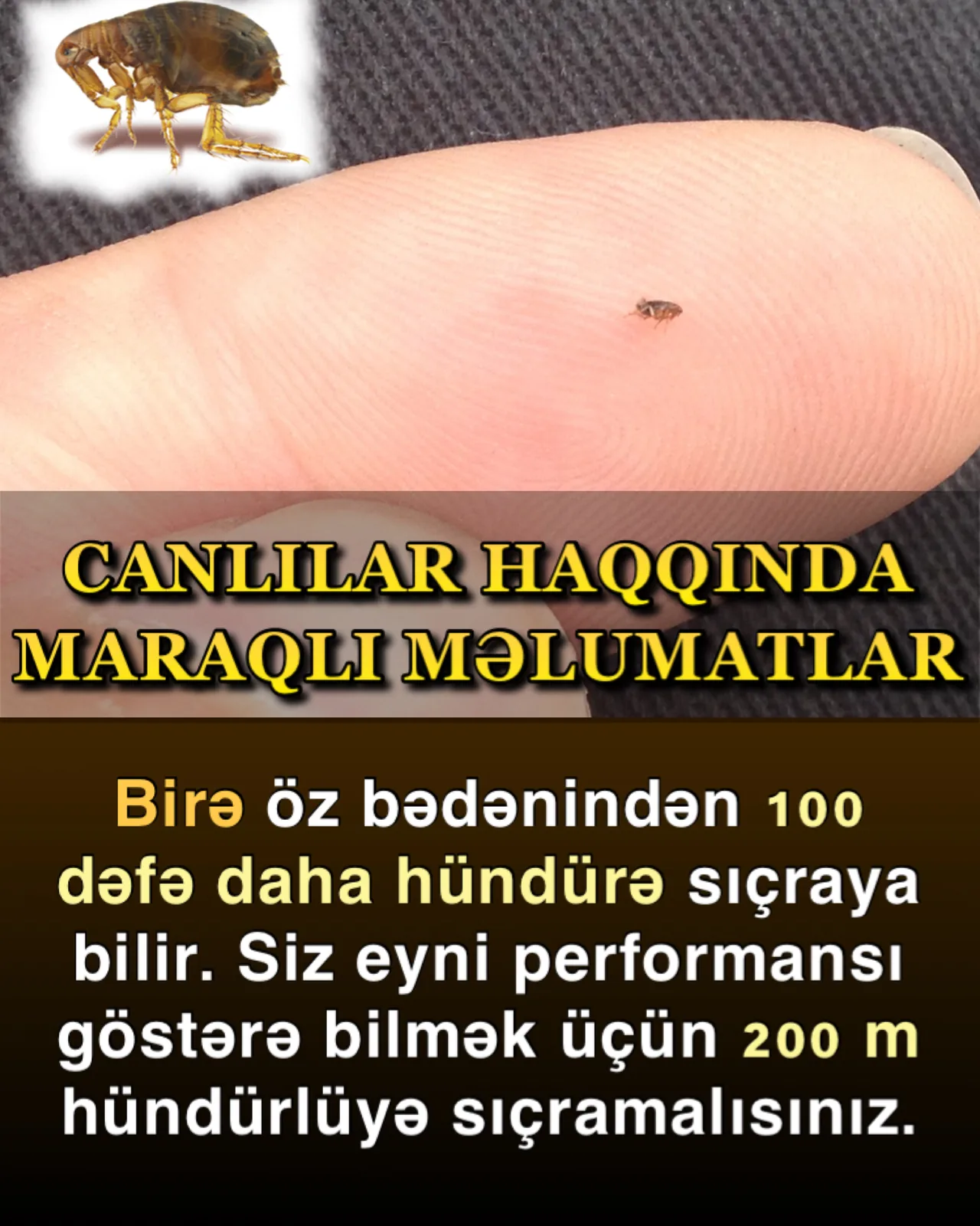 Canlılar yer üzündə birdən-birə möcüzəvi şəkildə əmələ gəliblər