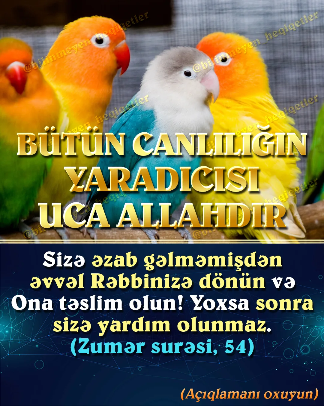 Darvinizm, dünya tarixinin ən məntiqdən kənar, ən ağla sığmaz batil dinidir