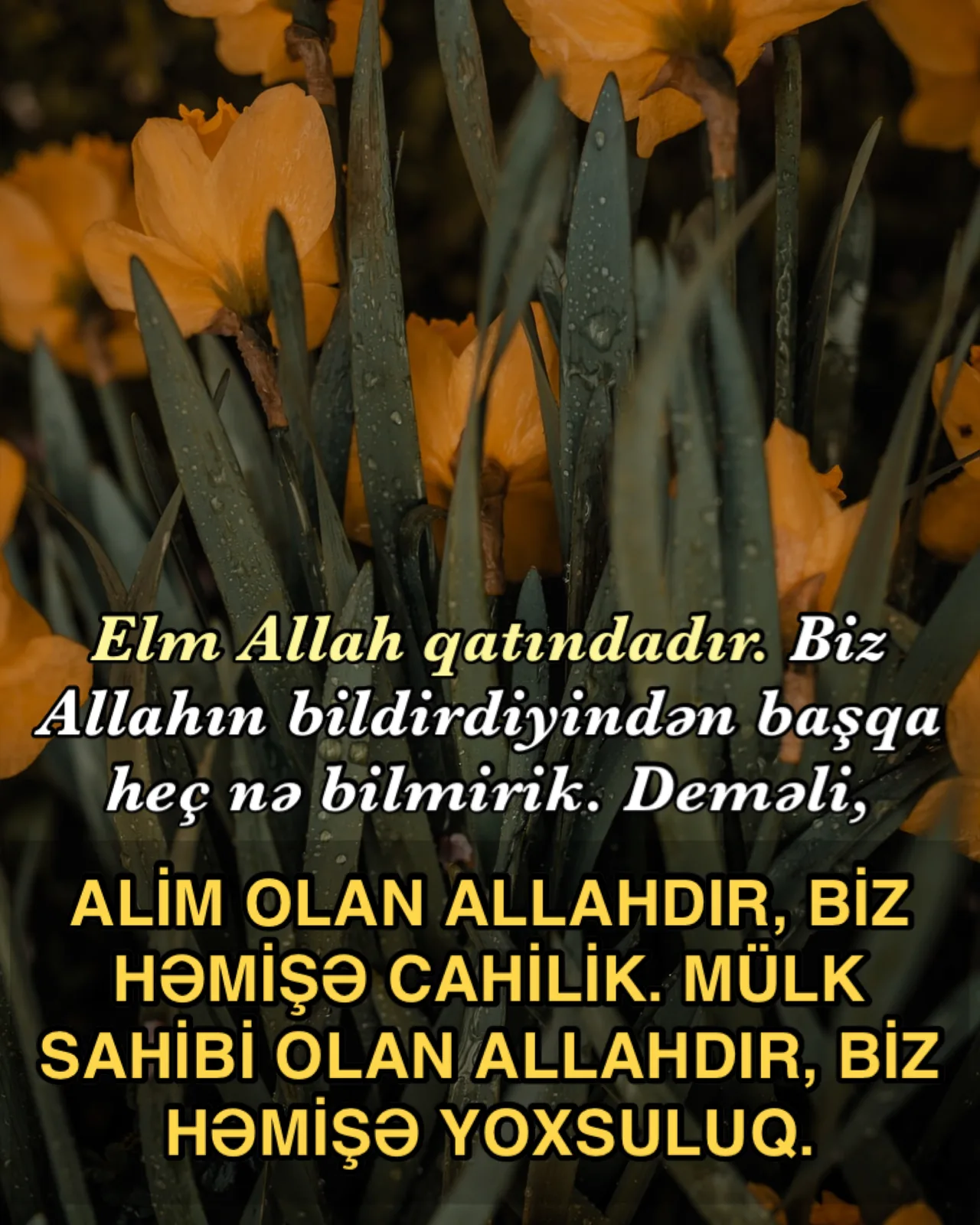 Din ilə elmin uyğunluğu