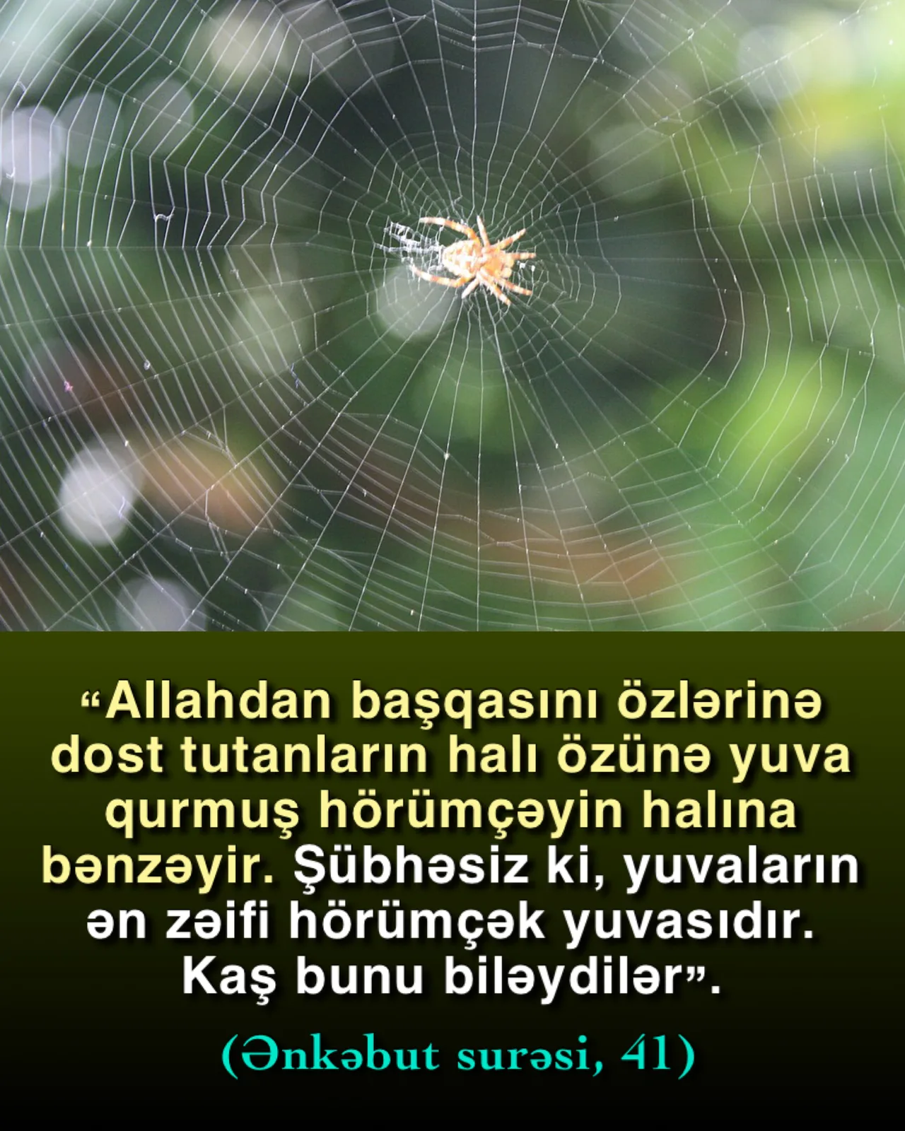 Dini öz istəklərinə görə dəyişənlər