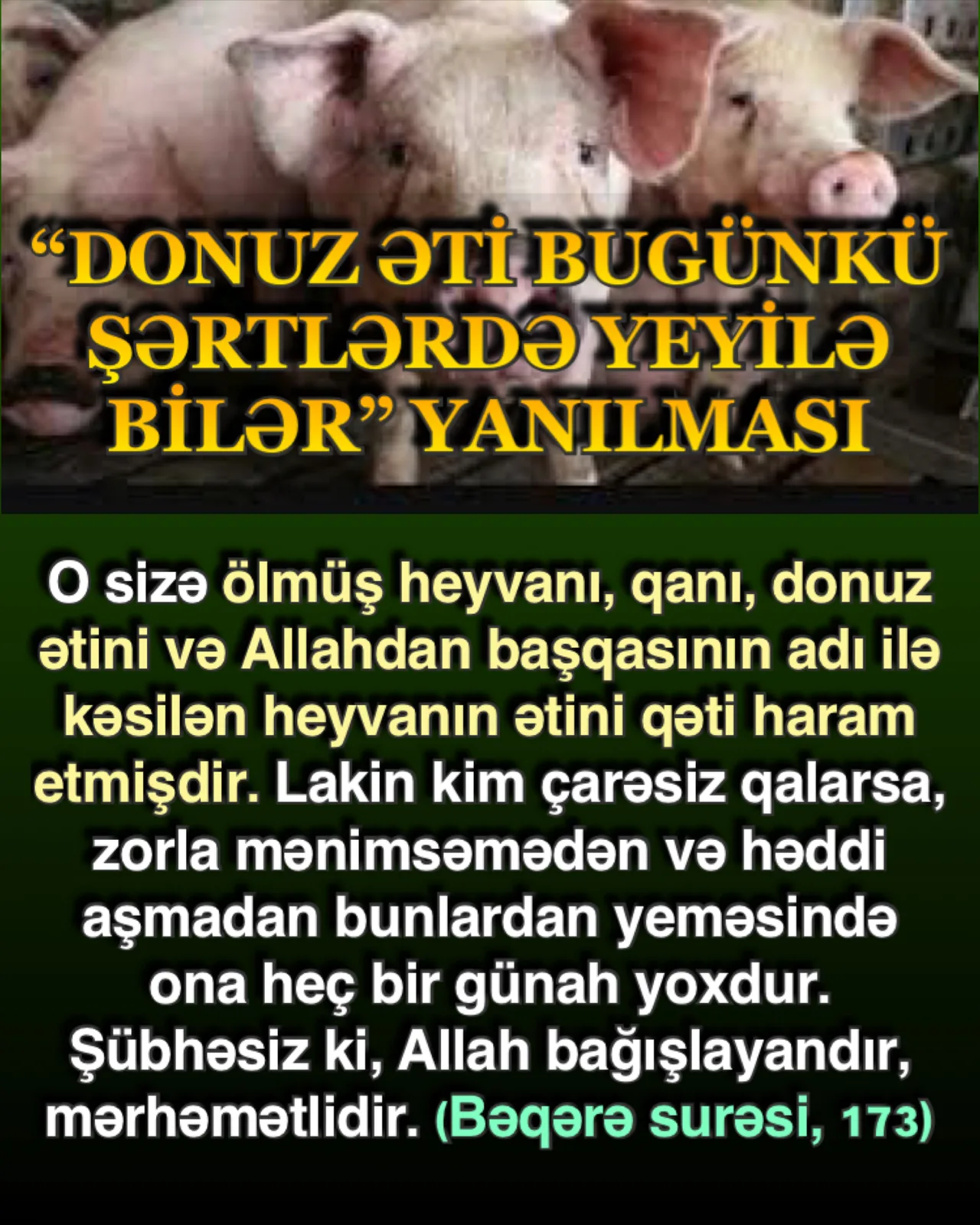 Donuz ətinin haram olmasının hikməti