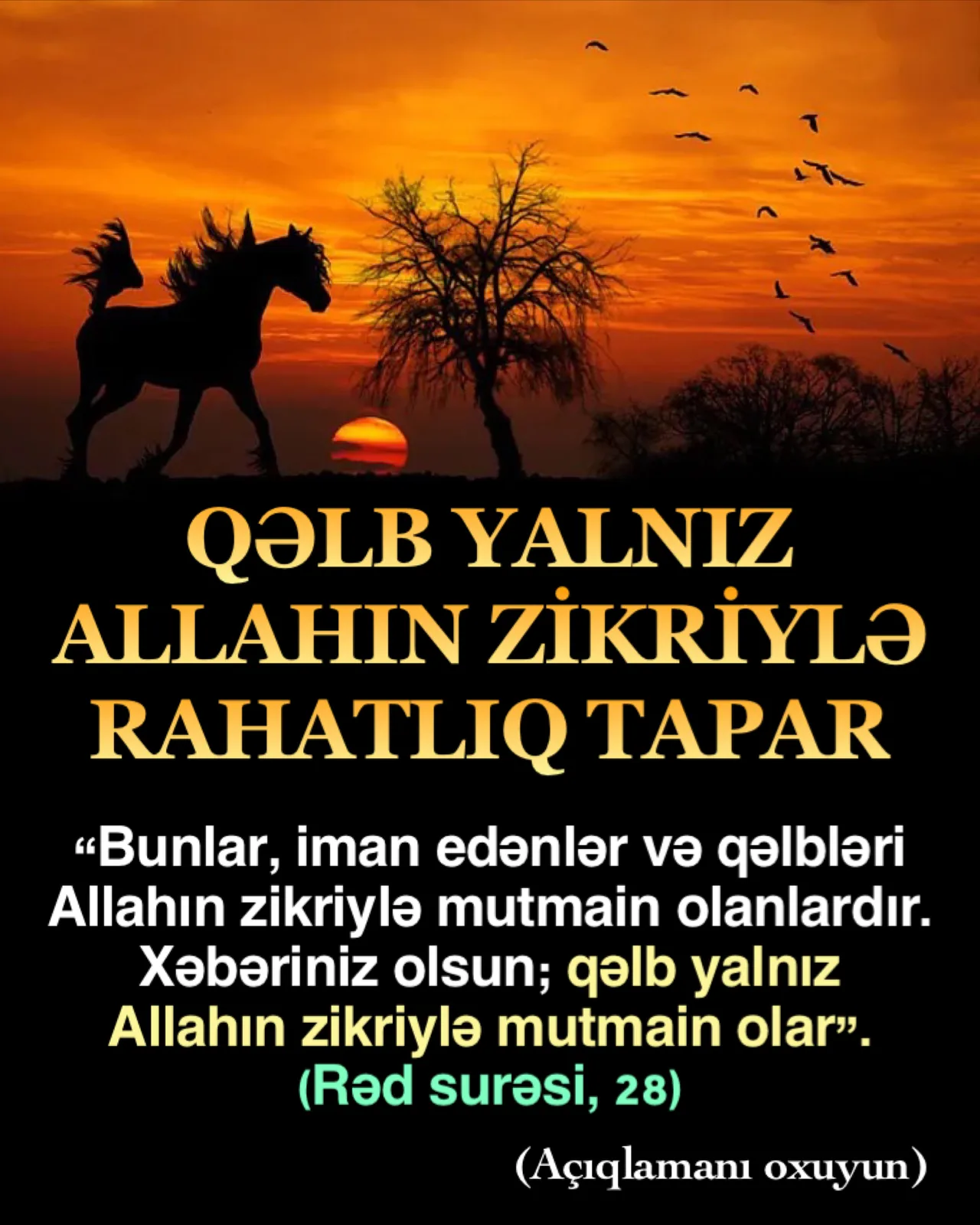 Dünyada yaşayan bütün insanlar həqiqi xoşbəxtliyi tapmağın yollarını axtararlar