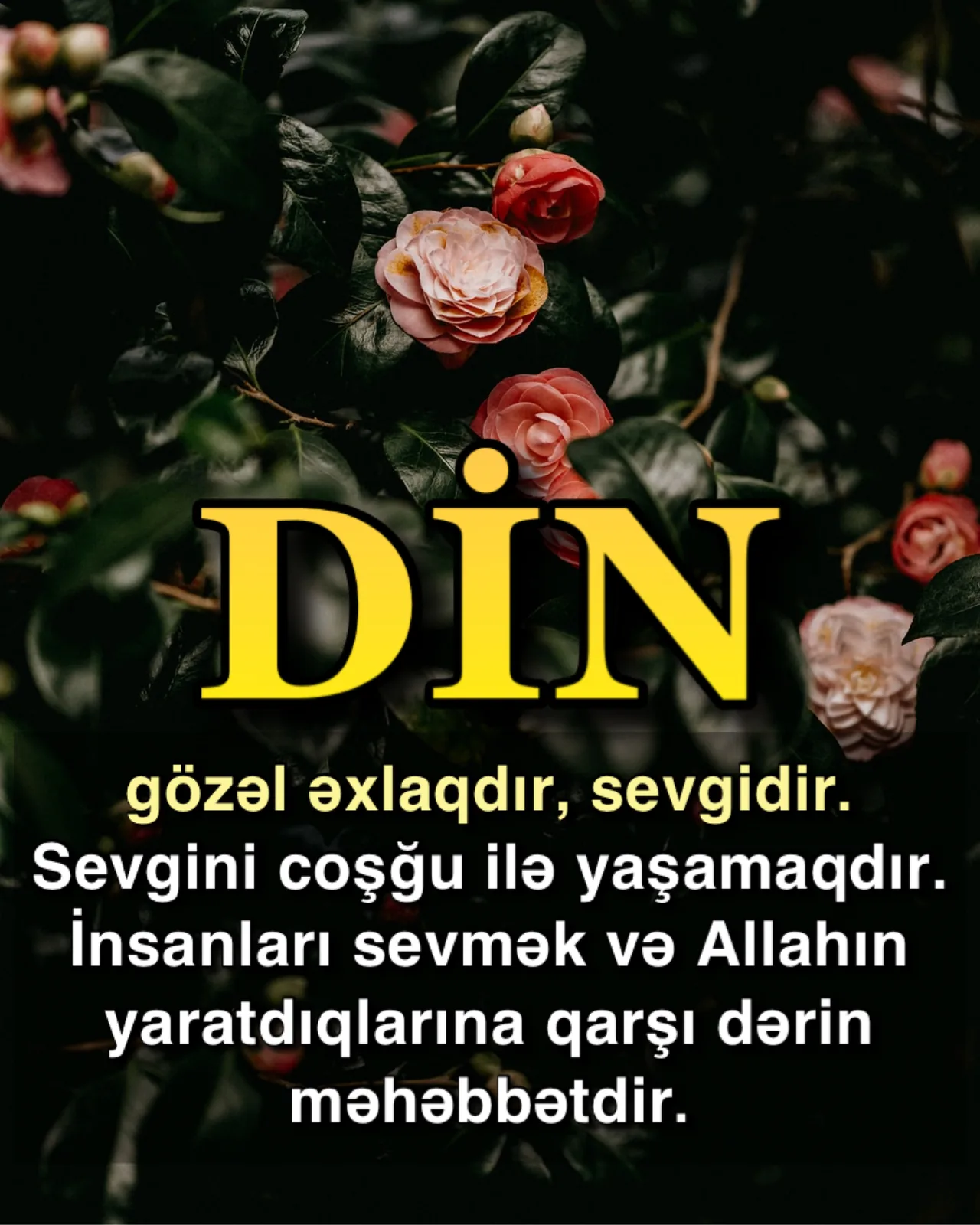 Dünyadakı pisliklərin həlli İslam əxlaqındadır