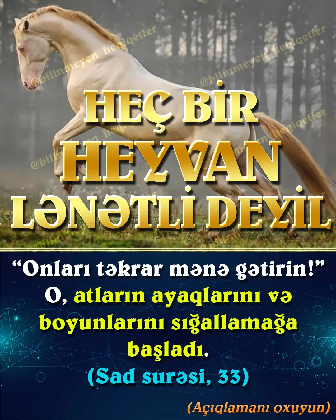 Dünyamızı bütün canlılarla birlikdə paylaşırıq