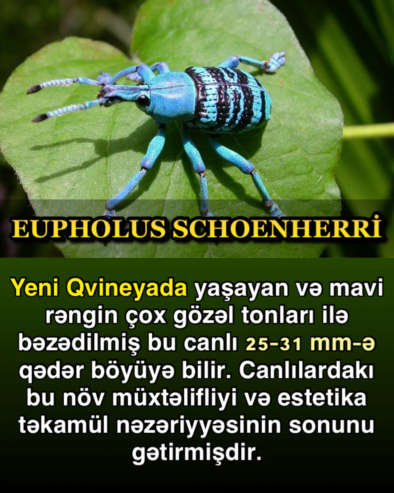 Elm hələ çox şey öyrənəcək
