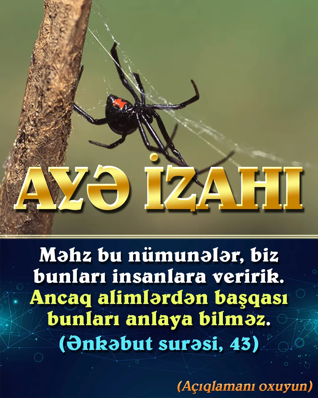 Ənkəbut surəsi 43