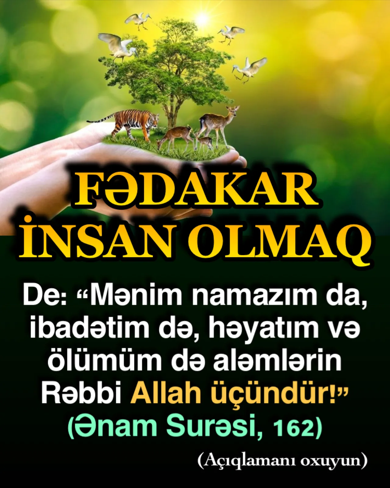 Fədakarlıq cahiliyyə insanları arasında bir növ “ağılsızlıq” olaraq qəbul edilir