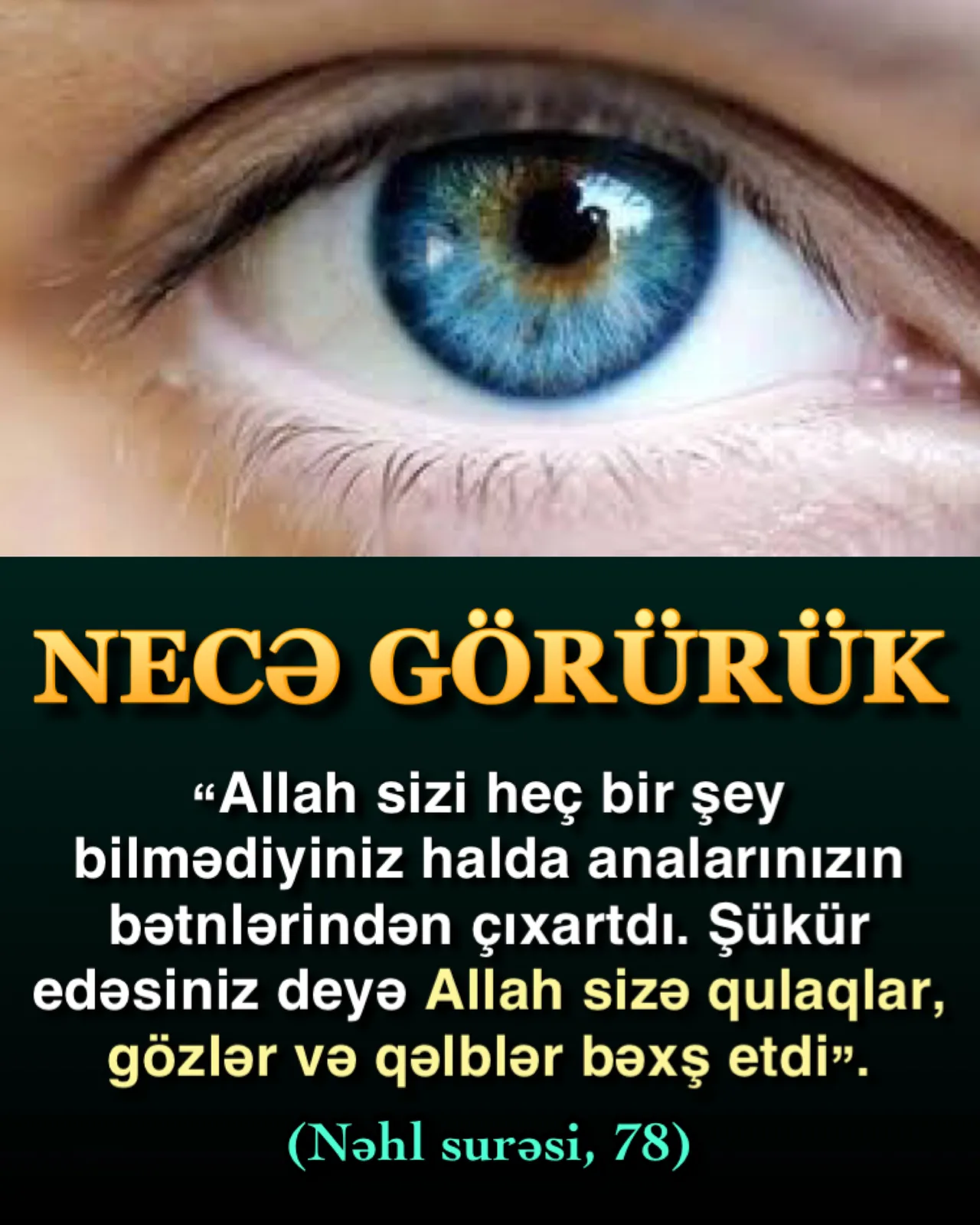 Görmə hadisəsi çox mərhələli şəkildə reallaşır