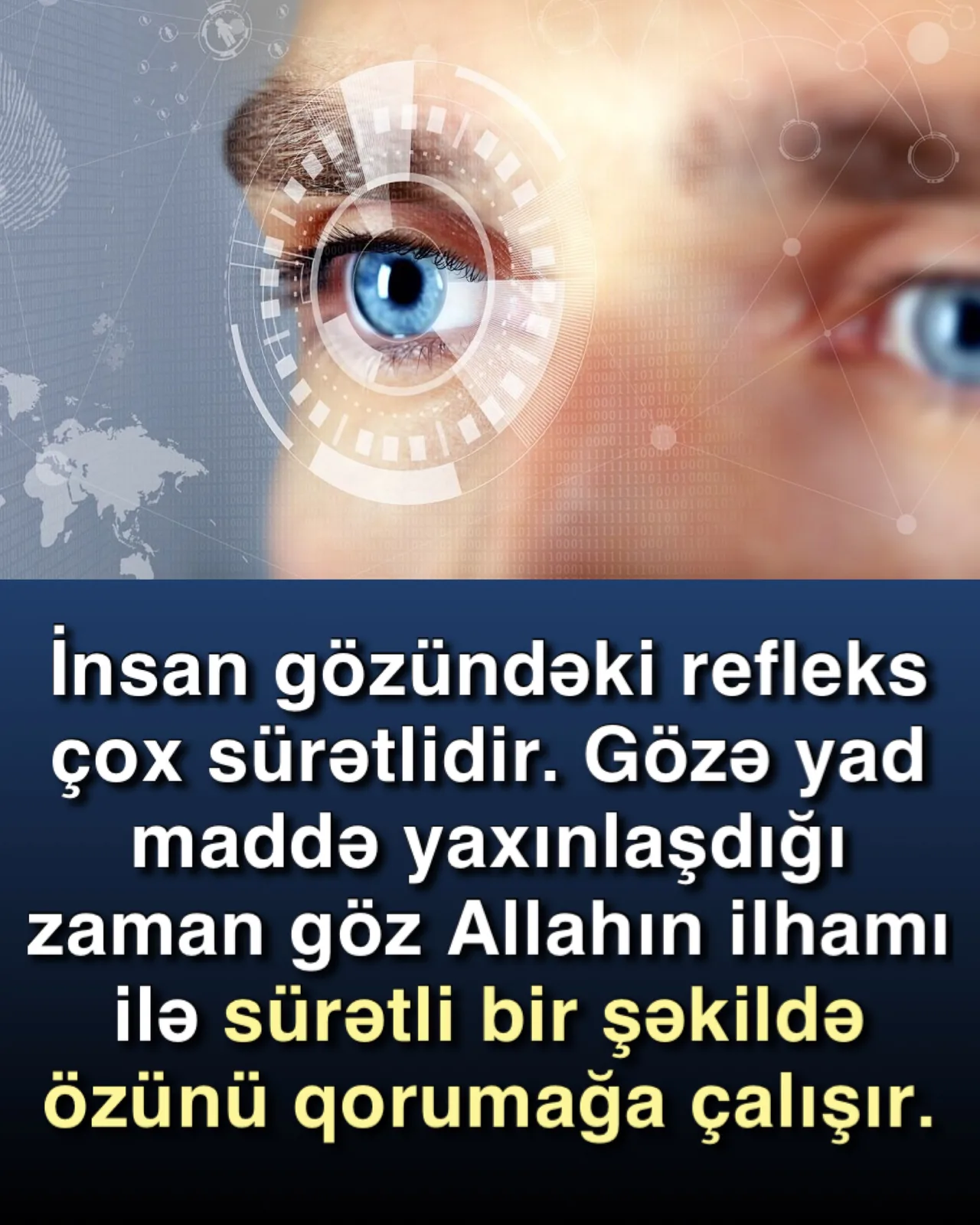 Gözlərin qorunma sistemi: göz qapaqları